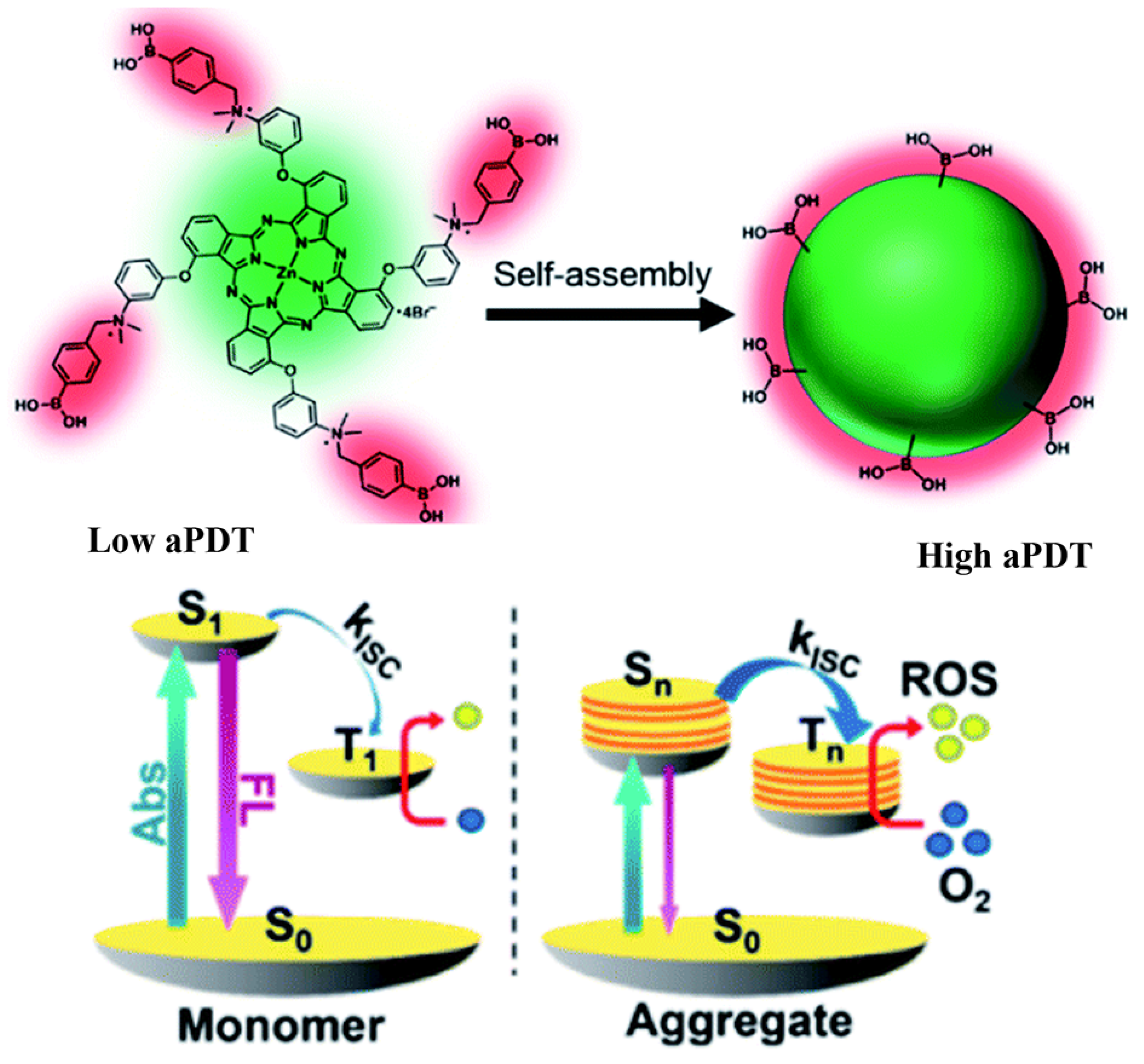 Pharmaceuticals 15 00804 g009
