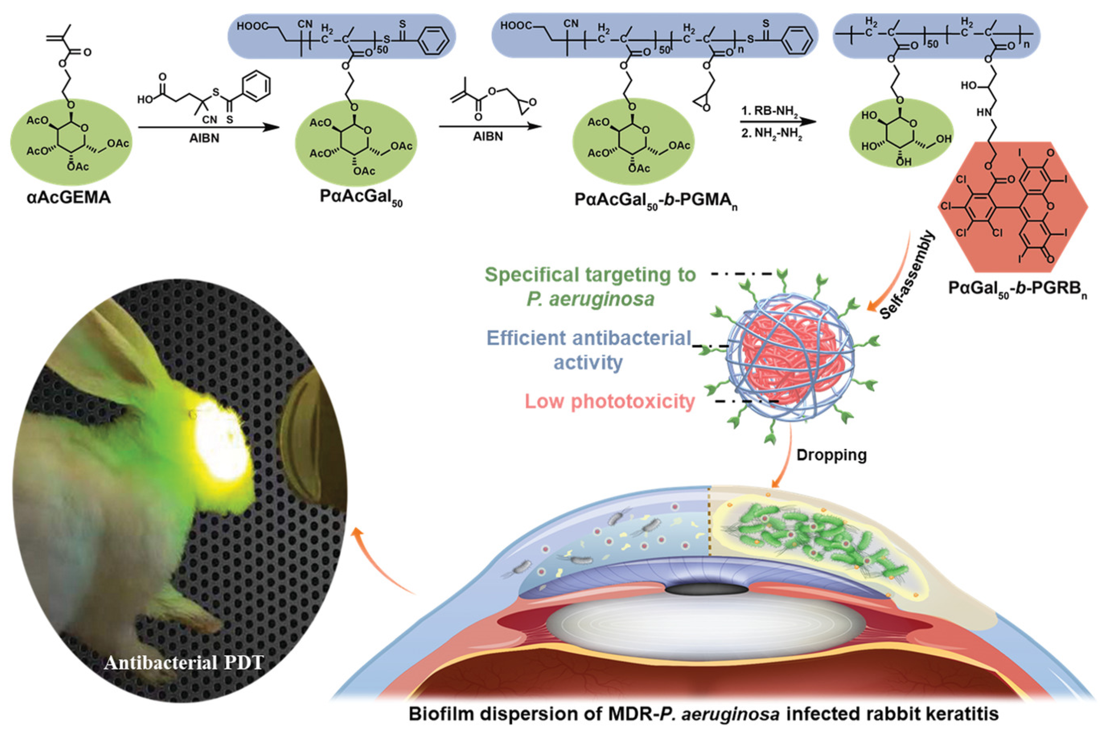 Pharmaceuticals 15 00804 g010