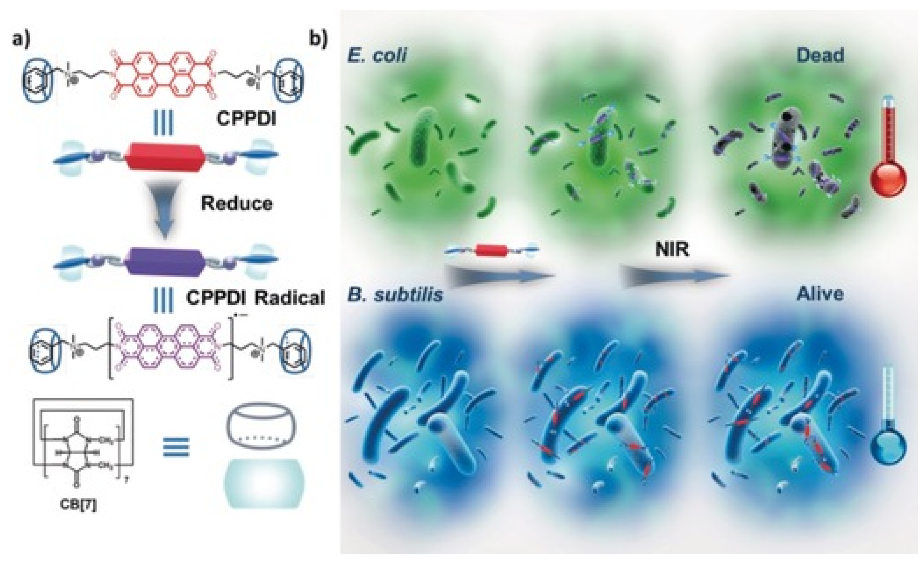 Pharmaceuticals 15 00804 g011