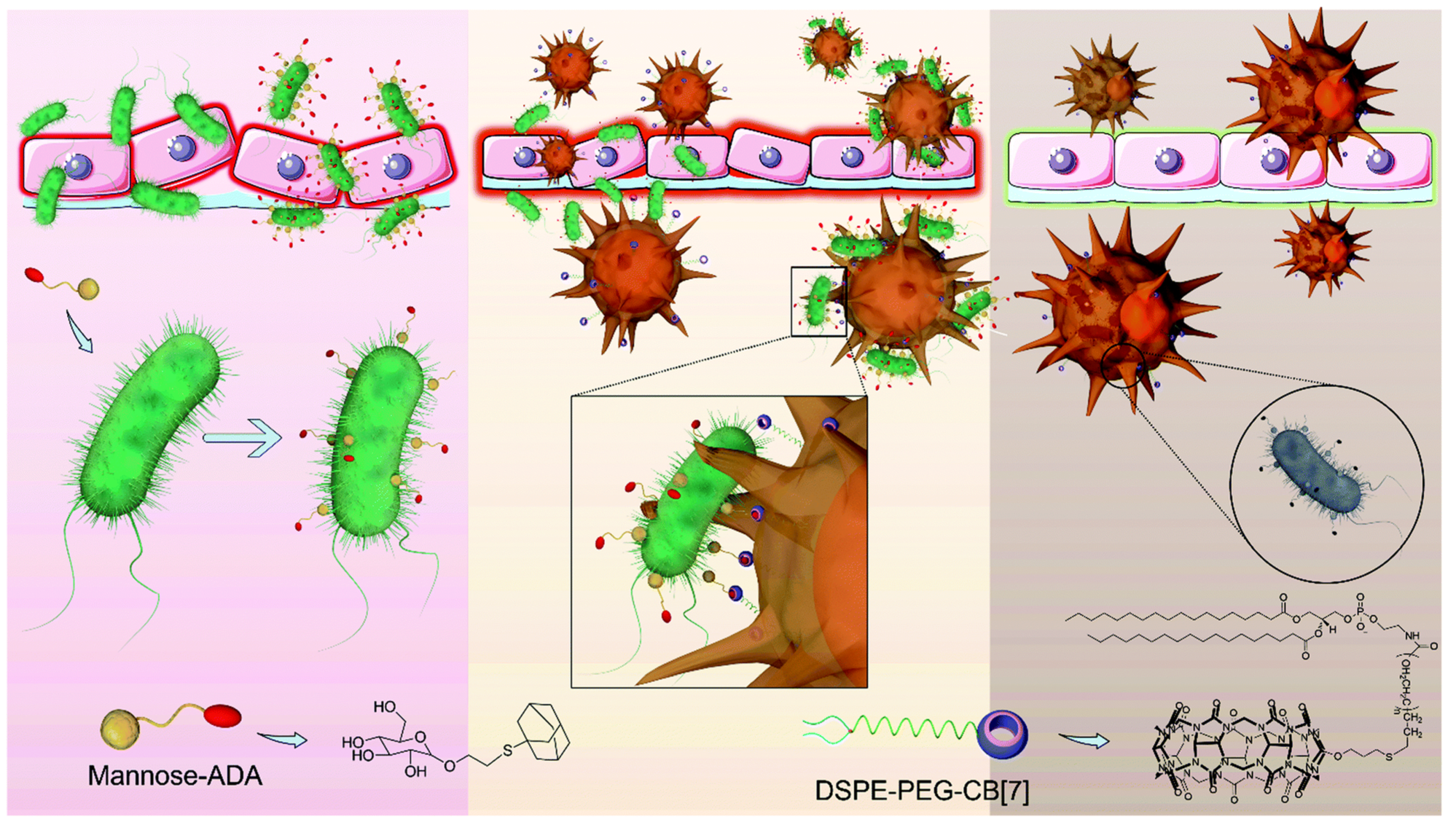 Pharmaceuticals 15 00804 g013