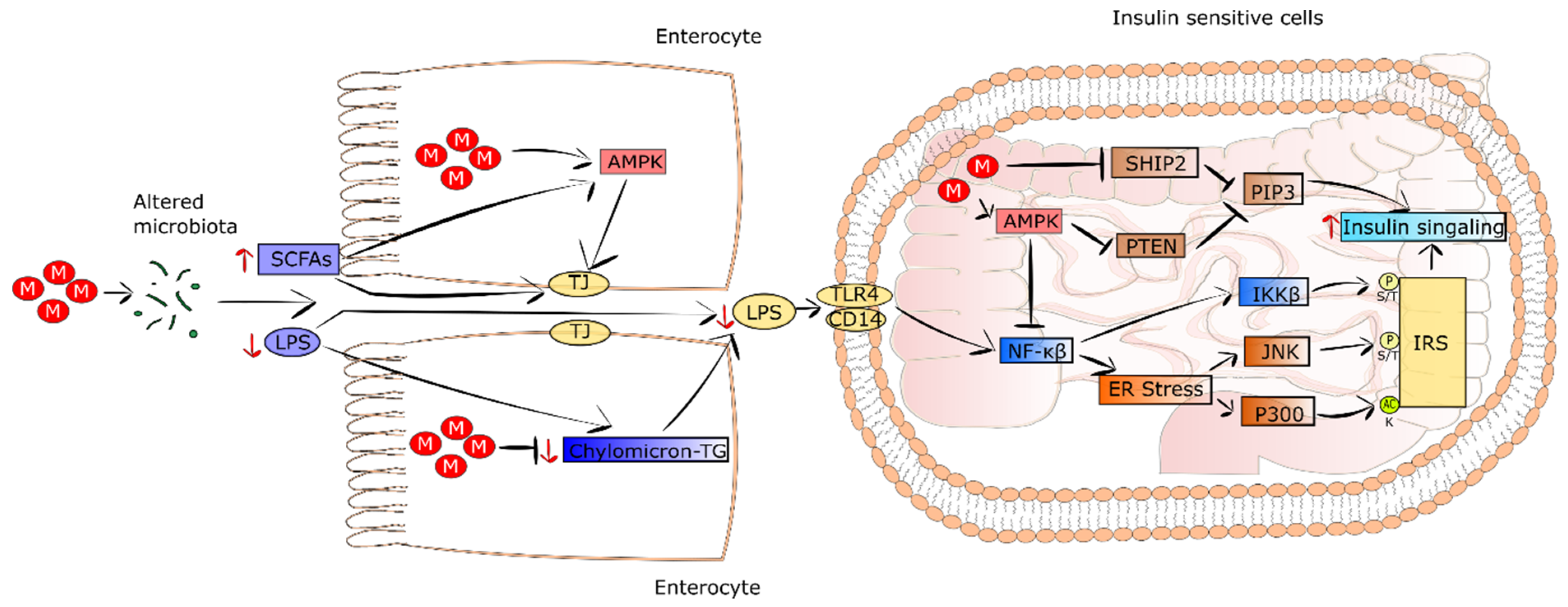 Pharmaceuticals 15 00810 g003 Pharmaceuticals 15 00810 g003