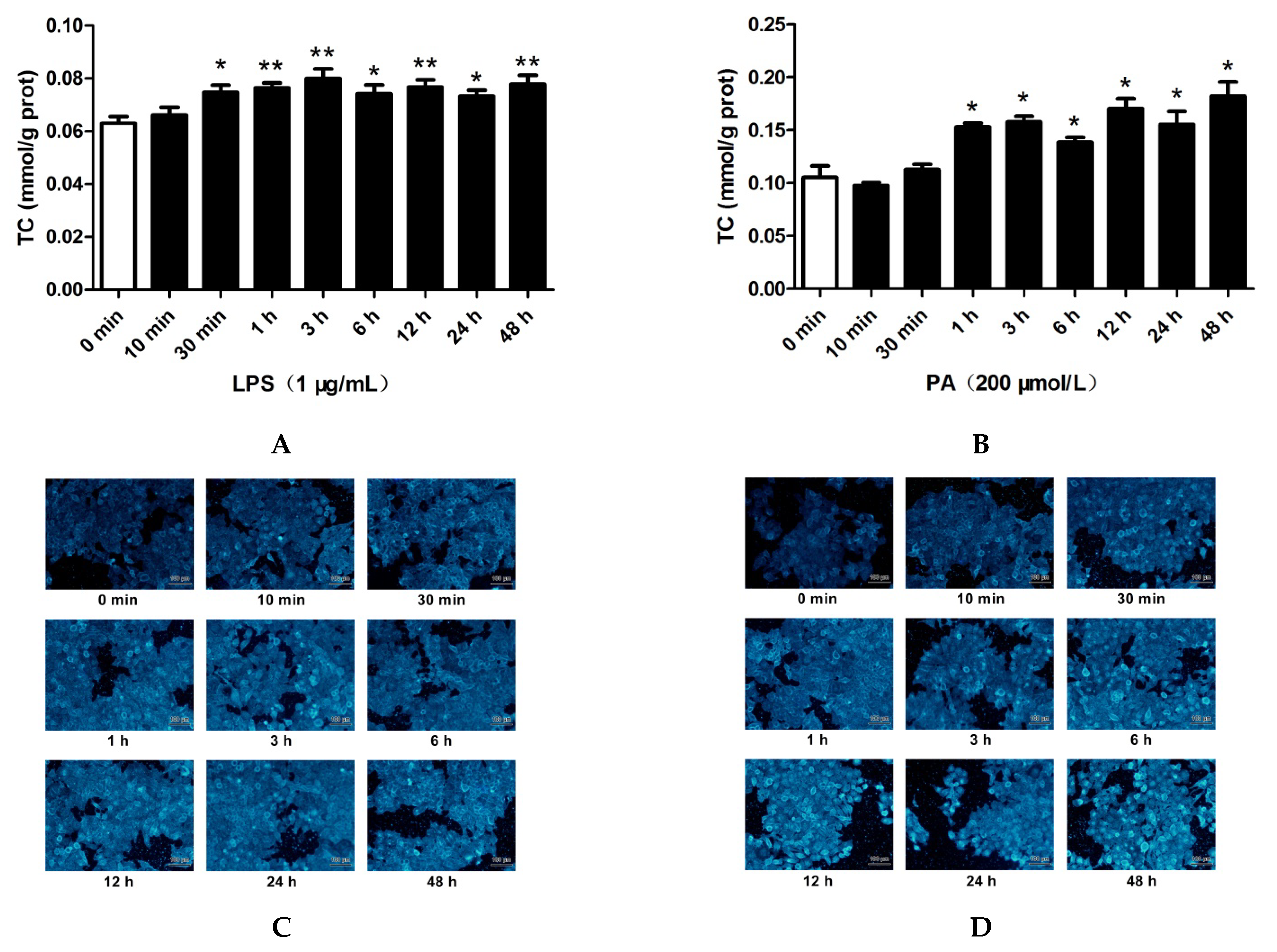 Pharmaceuticals 15 00813 g002a Pharmaceuticals 15 00813 g002a