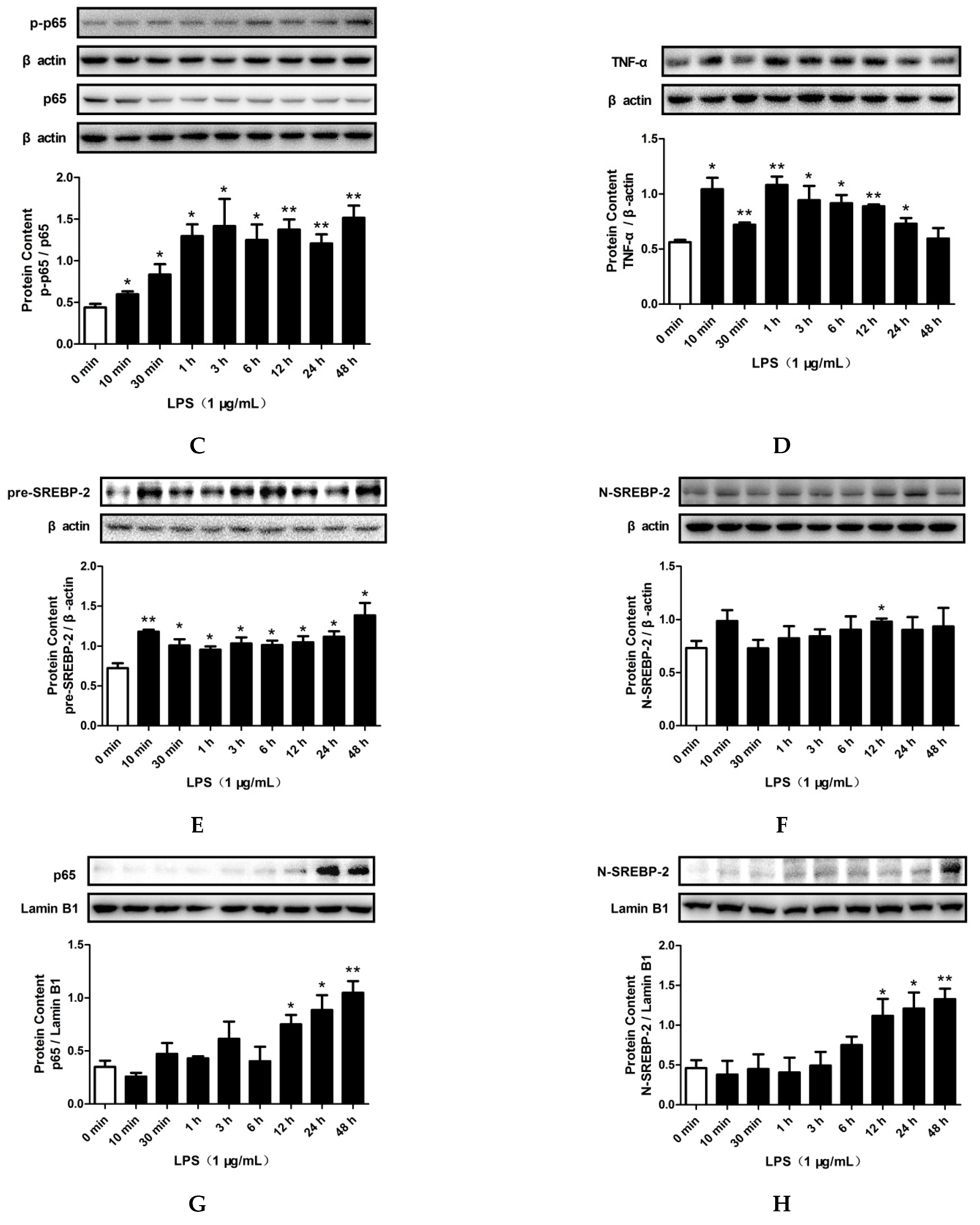 Pharmaceuticals 15 00813 g003b Pharmaceuticals 15 00813 g003b