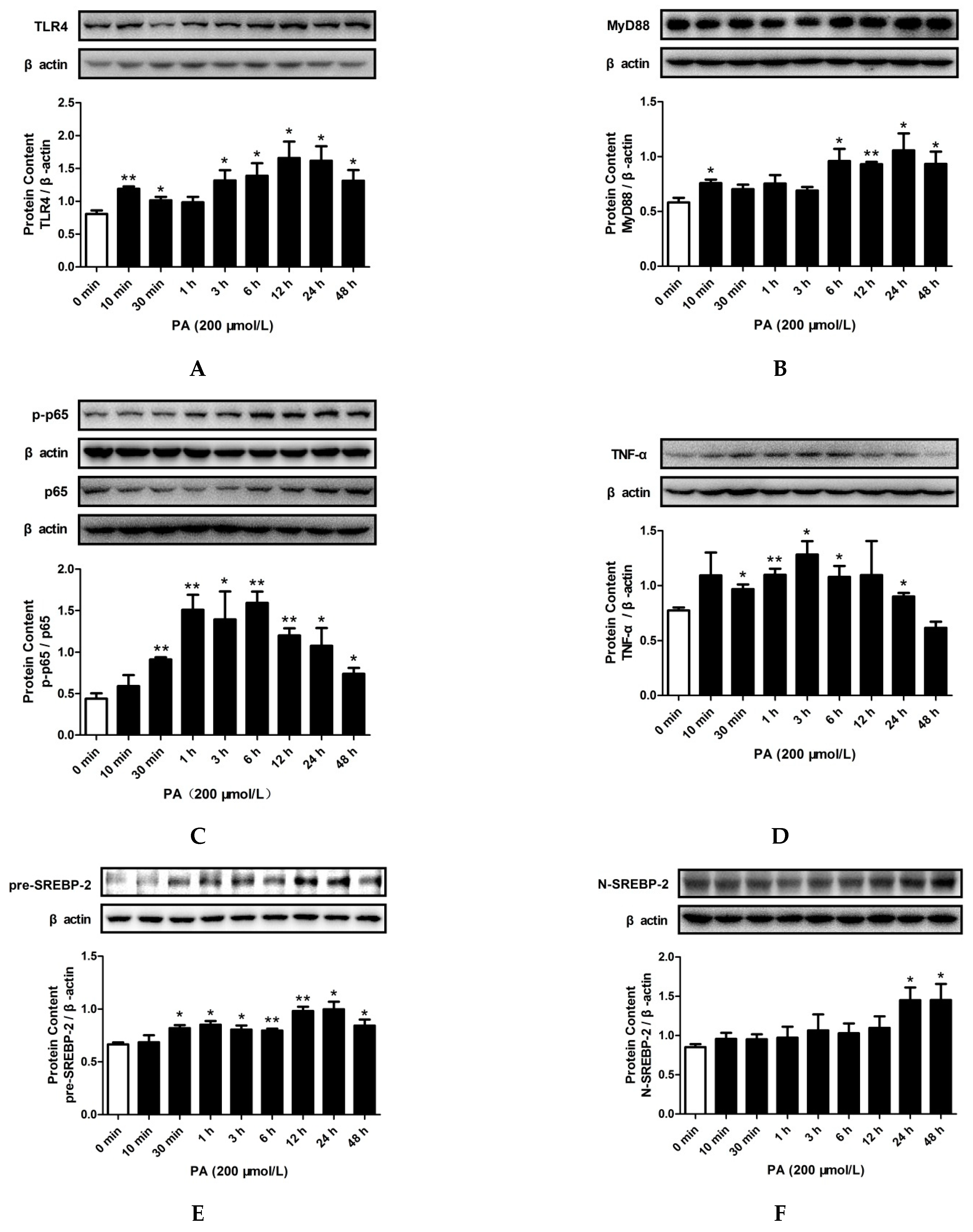 Pharmaceuticals 15 00813 g004a Pharmaceuticals 15 00813 g004a