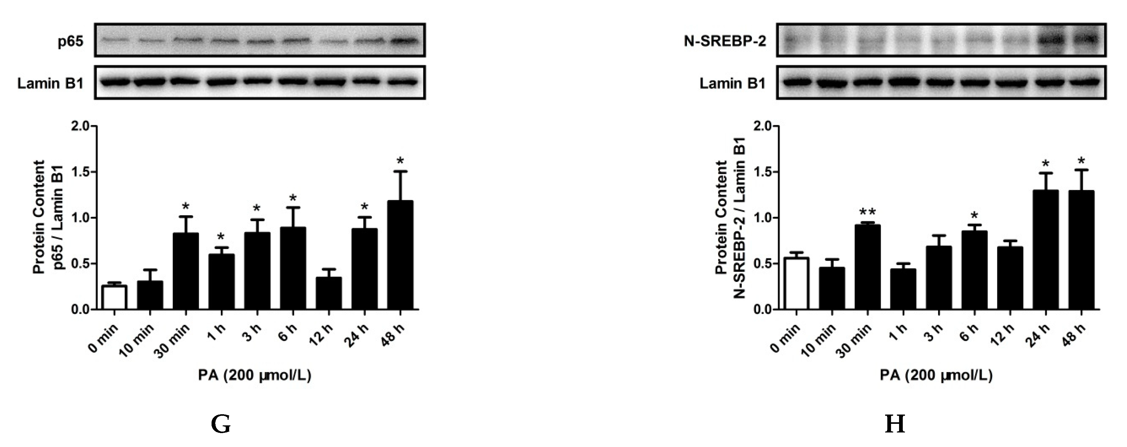 Pharmaceuticals 15 00813 g004b Pharmaceuticals 15 00813 g004b