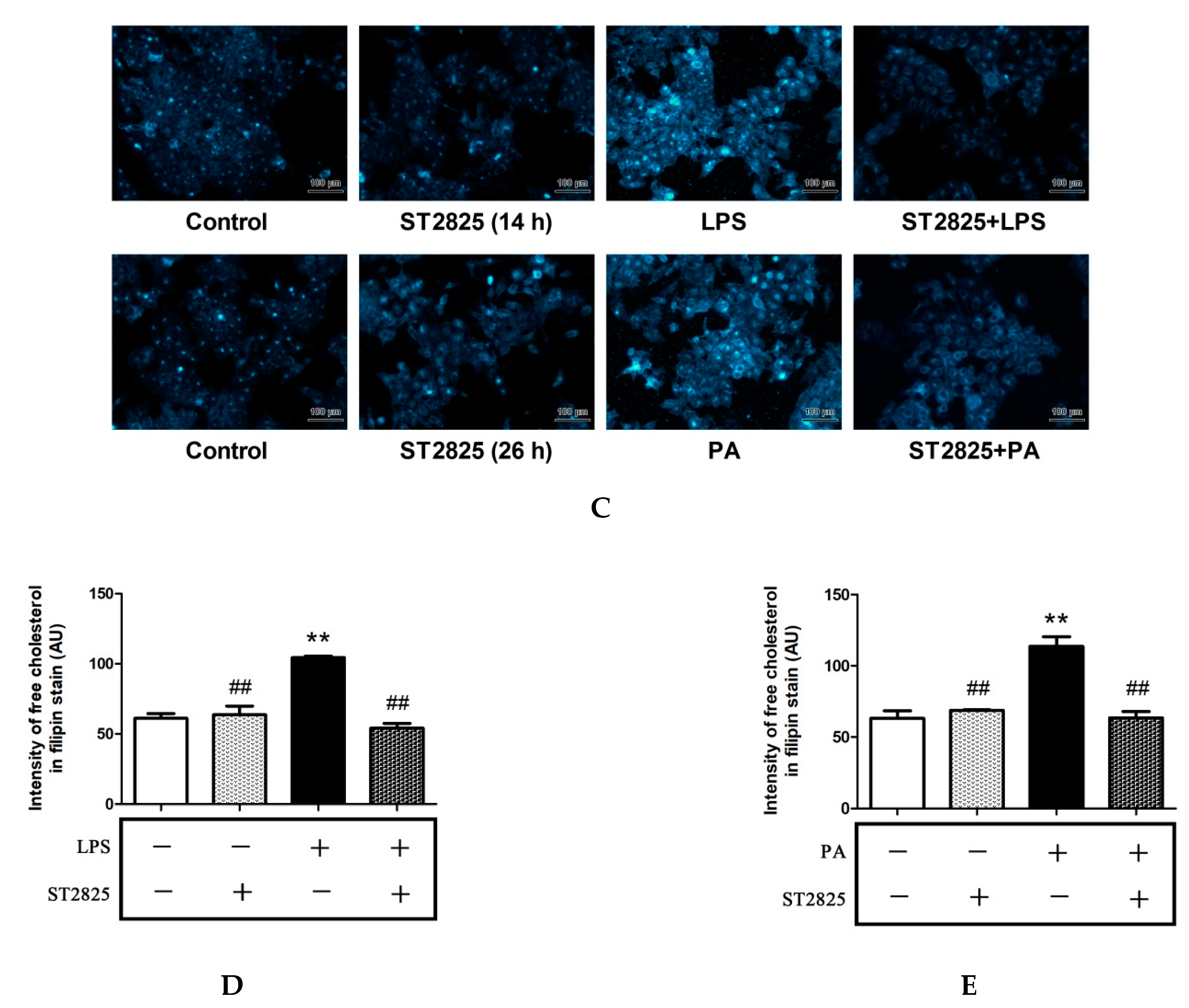 Pharmaceuticals 15 00813 g005b Pharmaceuticals 15 00813 g005b