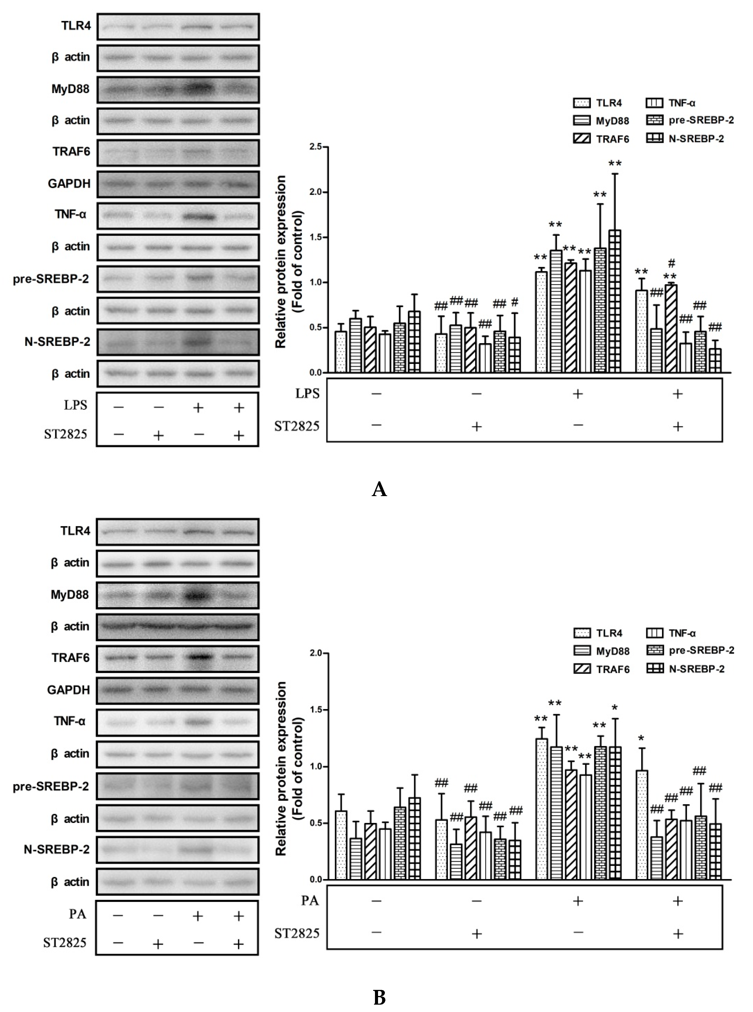 Pharmaceuticals 15 00813 g006 Pharmaceuticals 15 00813 g006