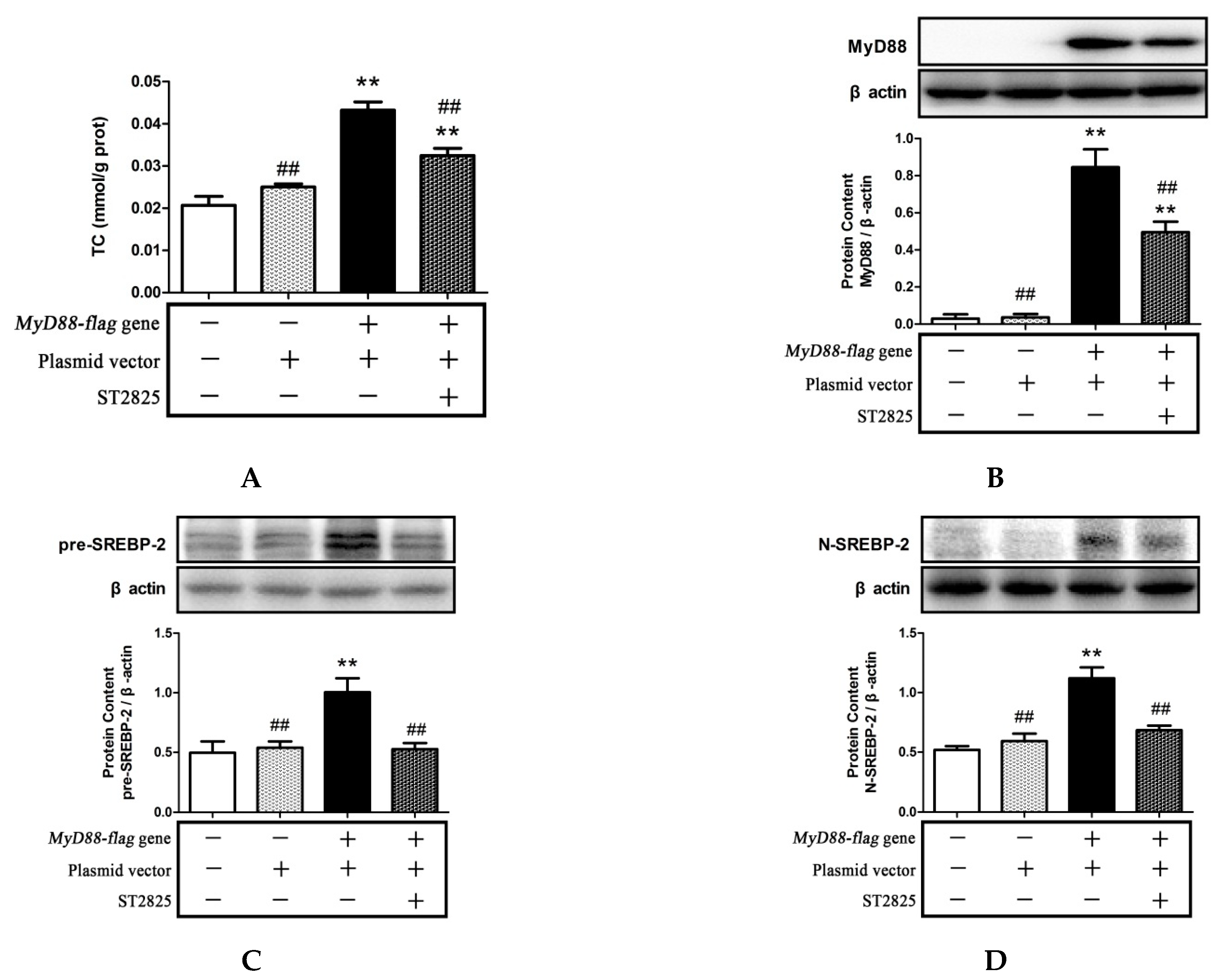 Pharmaceuticals 15 00813 g007 Pharmaceuticals 15 00813 g007