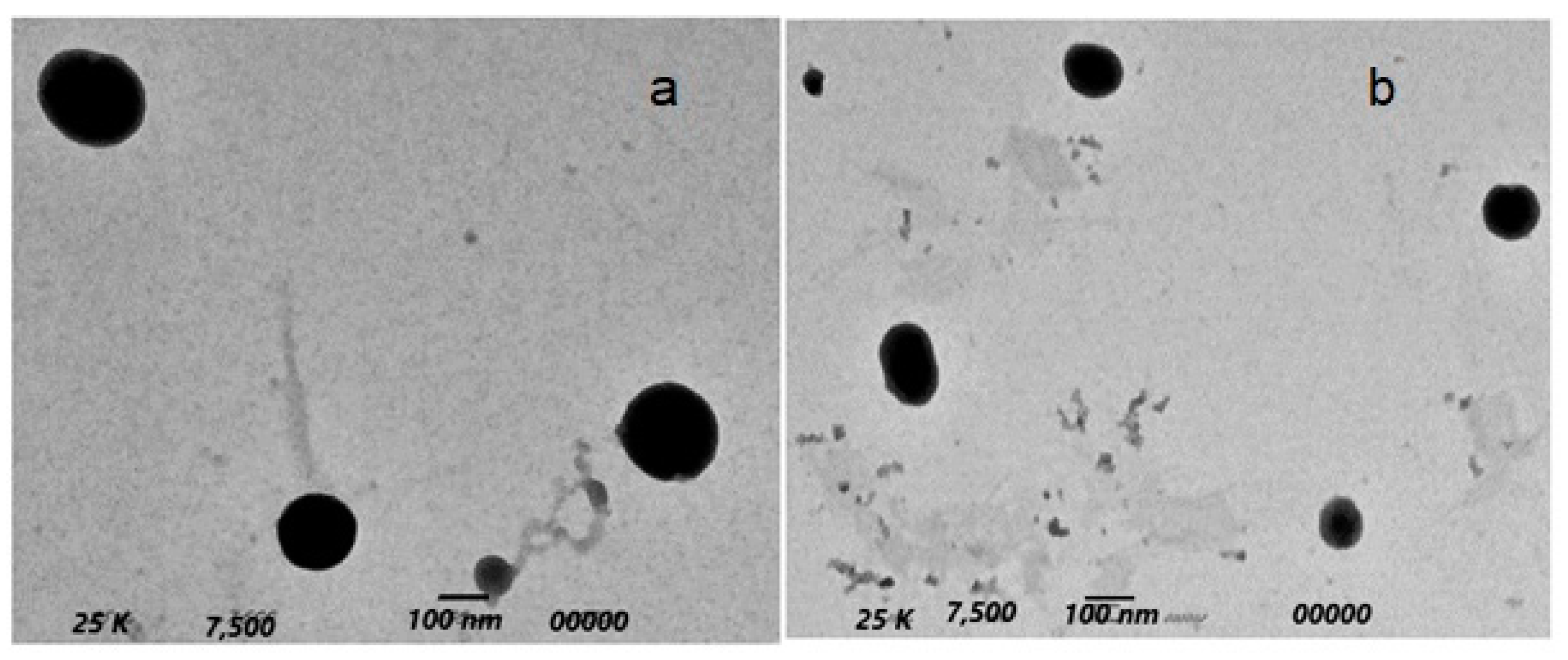 Pharmaceuticals 15 00816 g005 550