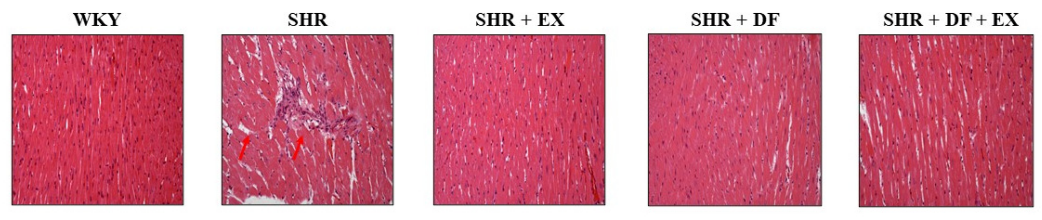 Pharmaceuticals 15 00819 g004