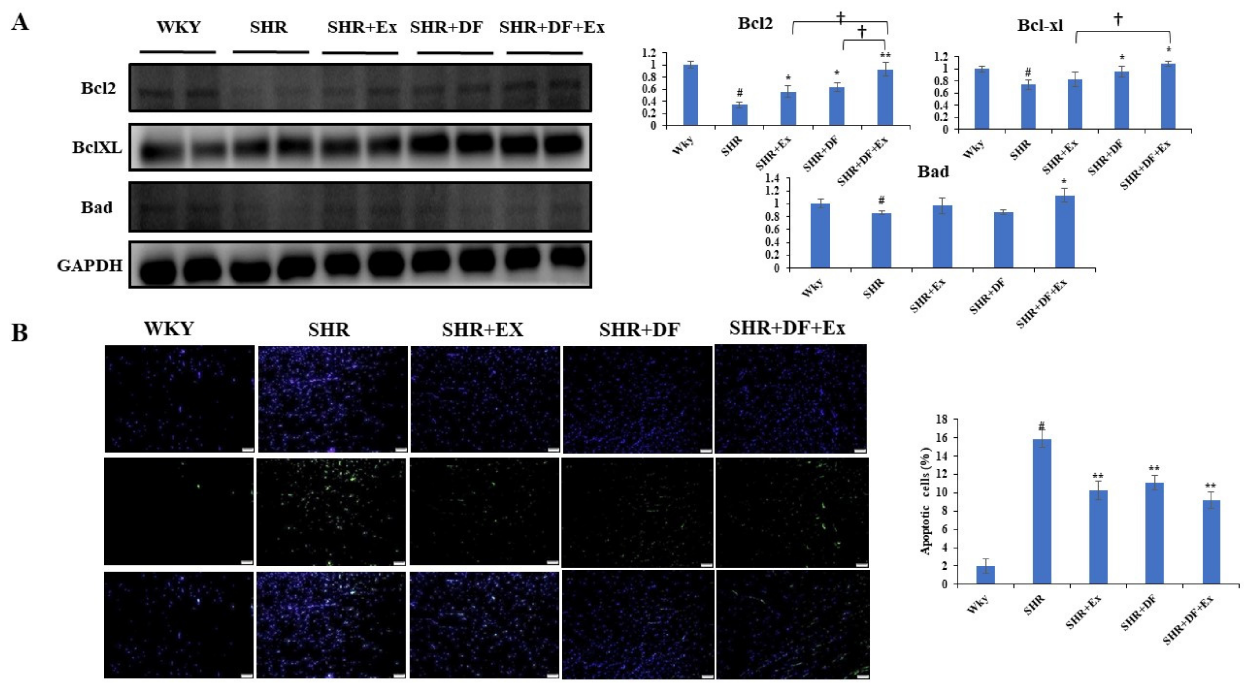 Pharmaceuticals 15 00819 g005