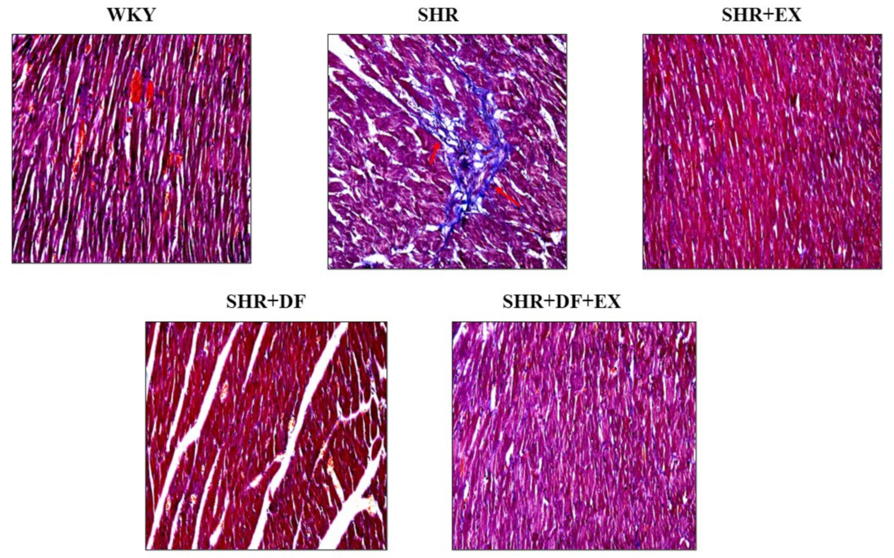 Pharmaceuticals 15 00819 g006