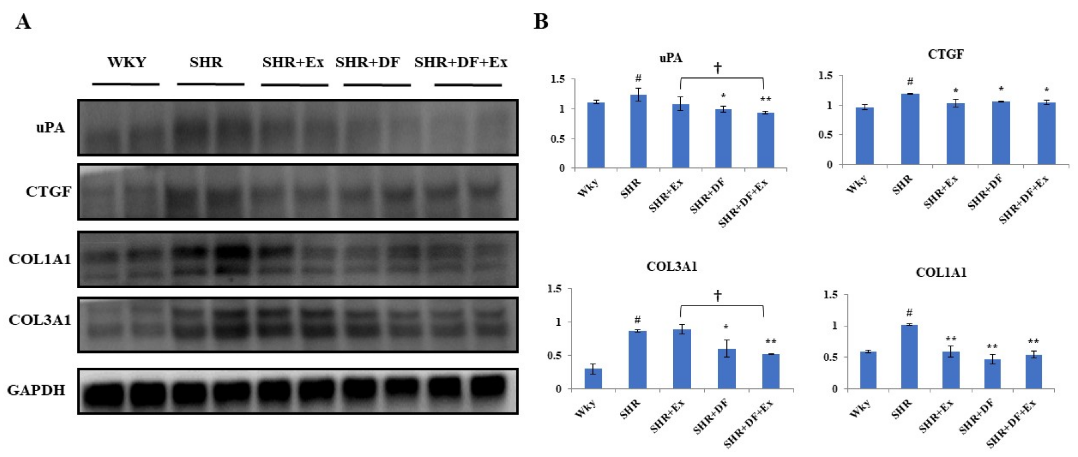 Pharmaceuticals 15 00819 g007
