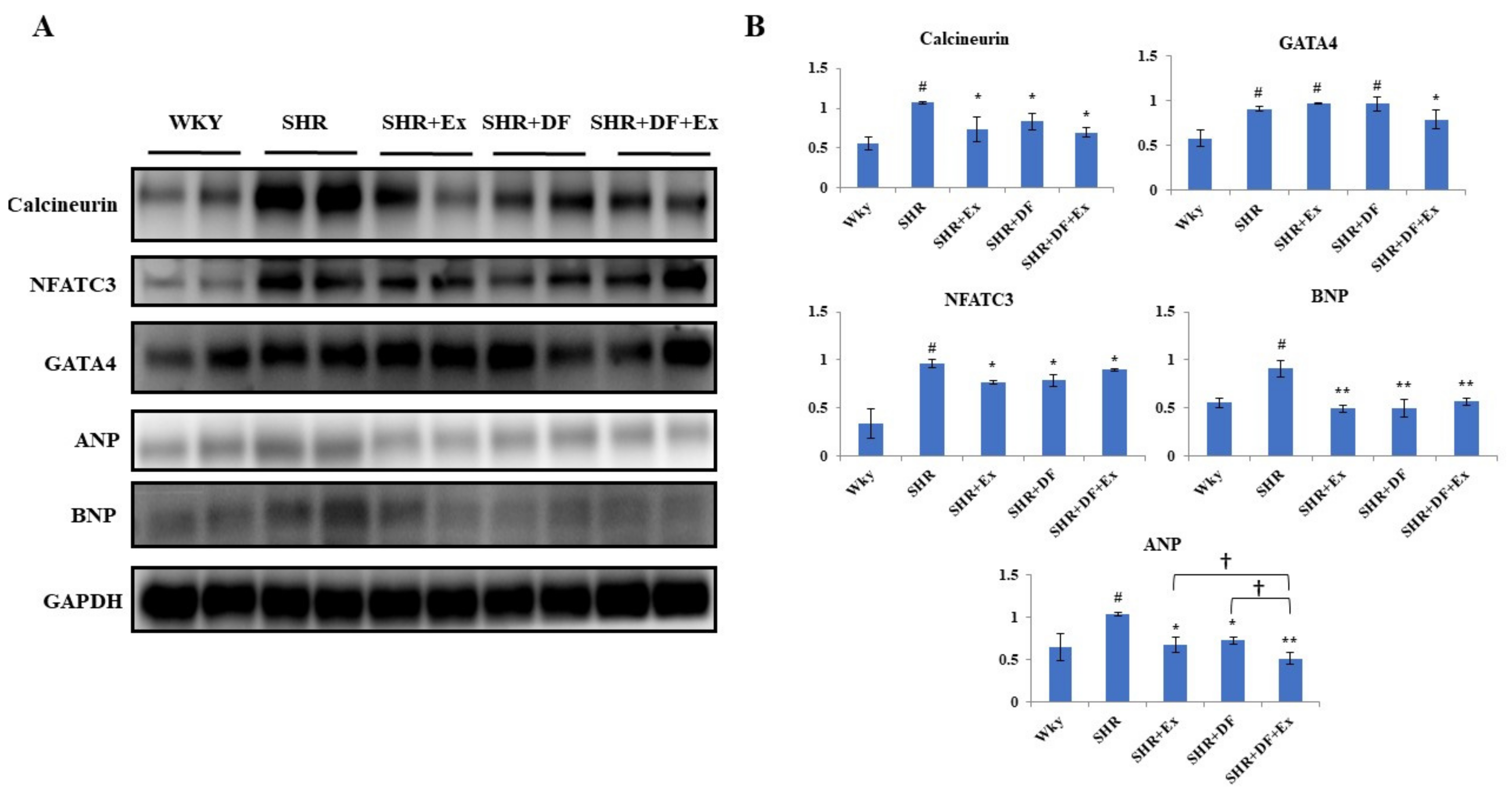 Pharmaceuticals 15 00819 g008
