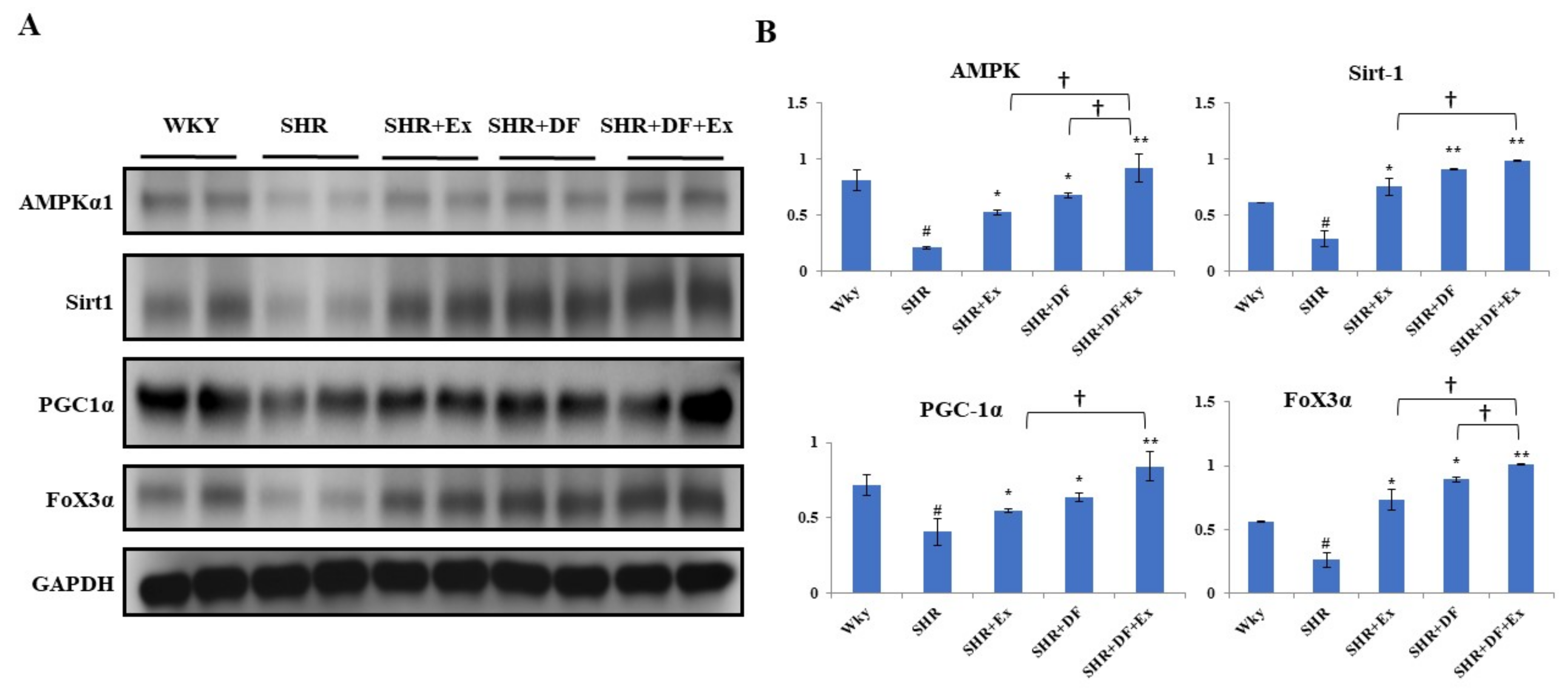 Pharmaceuticals 15 00819 g010