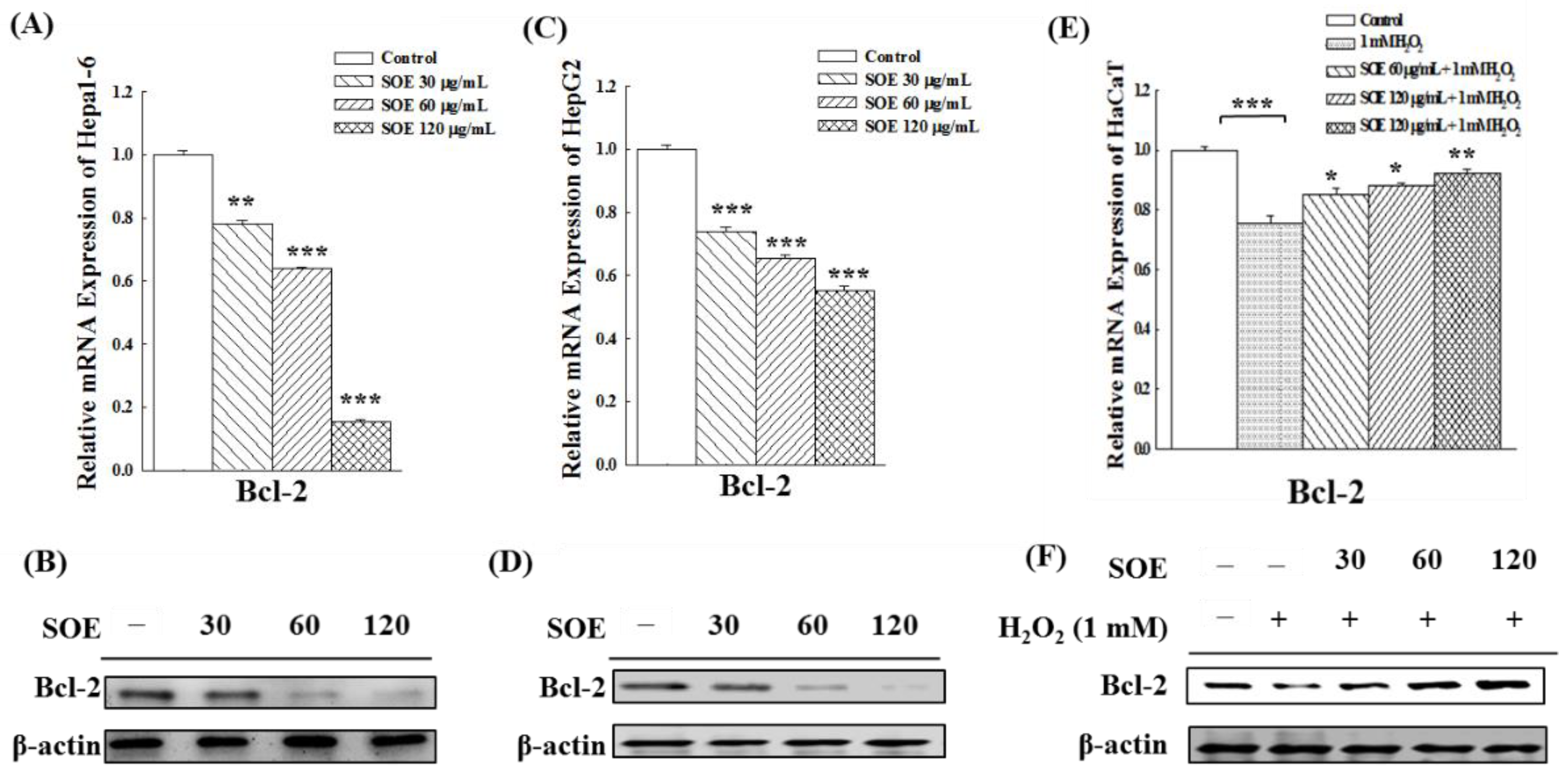 Pharmaceuticals 15 00826 g005 550