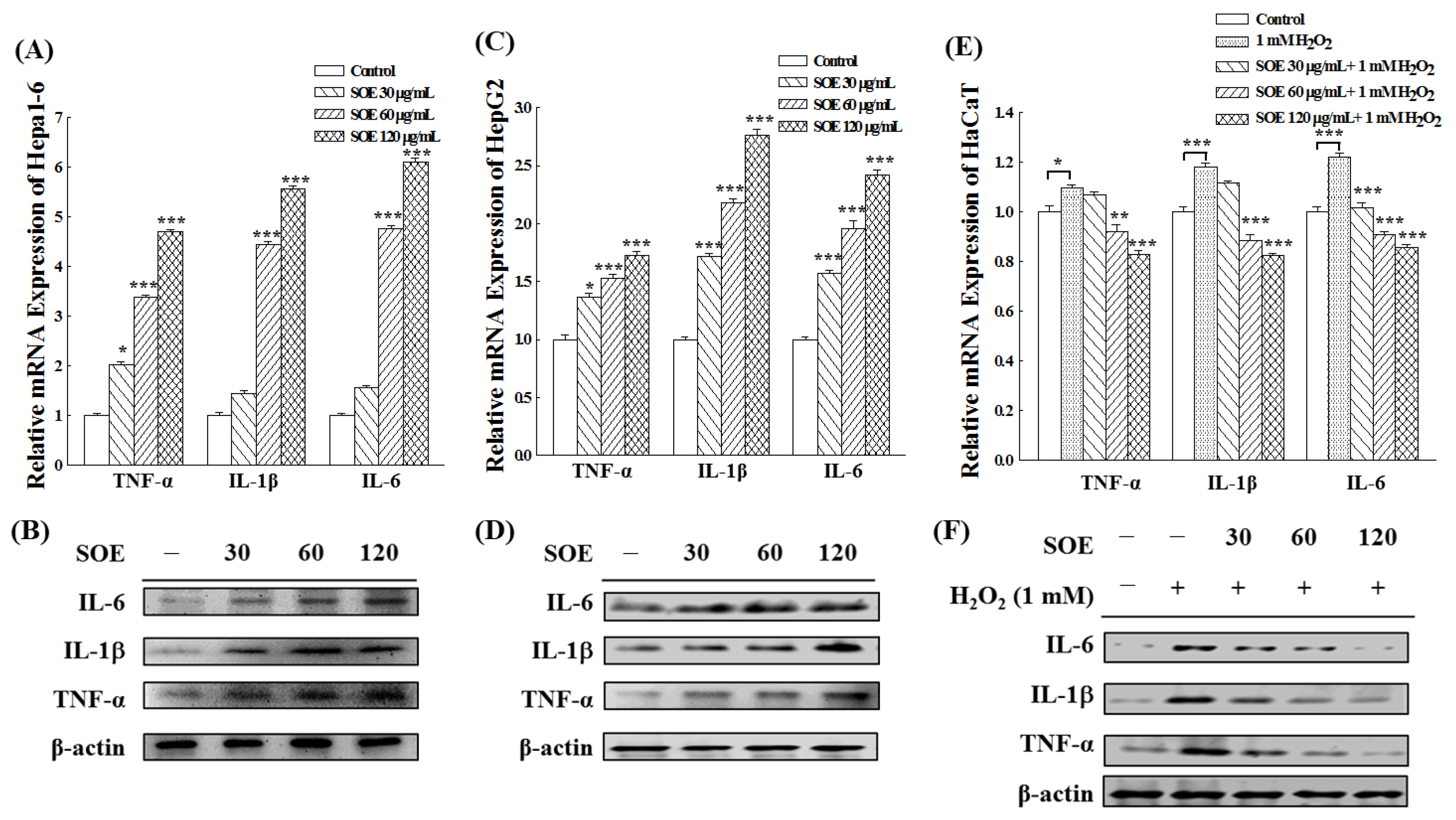 Pharmaceuticals 15 00826 g008 550