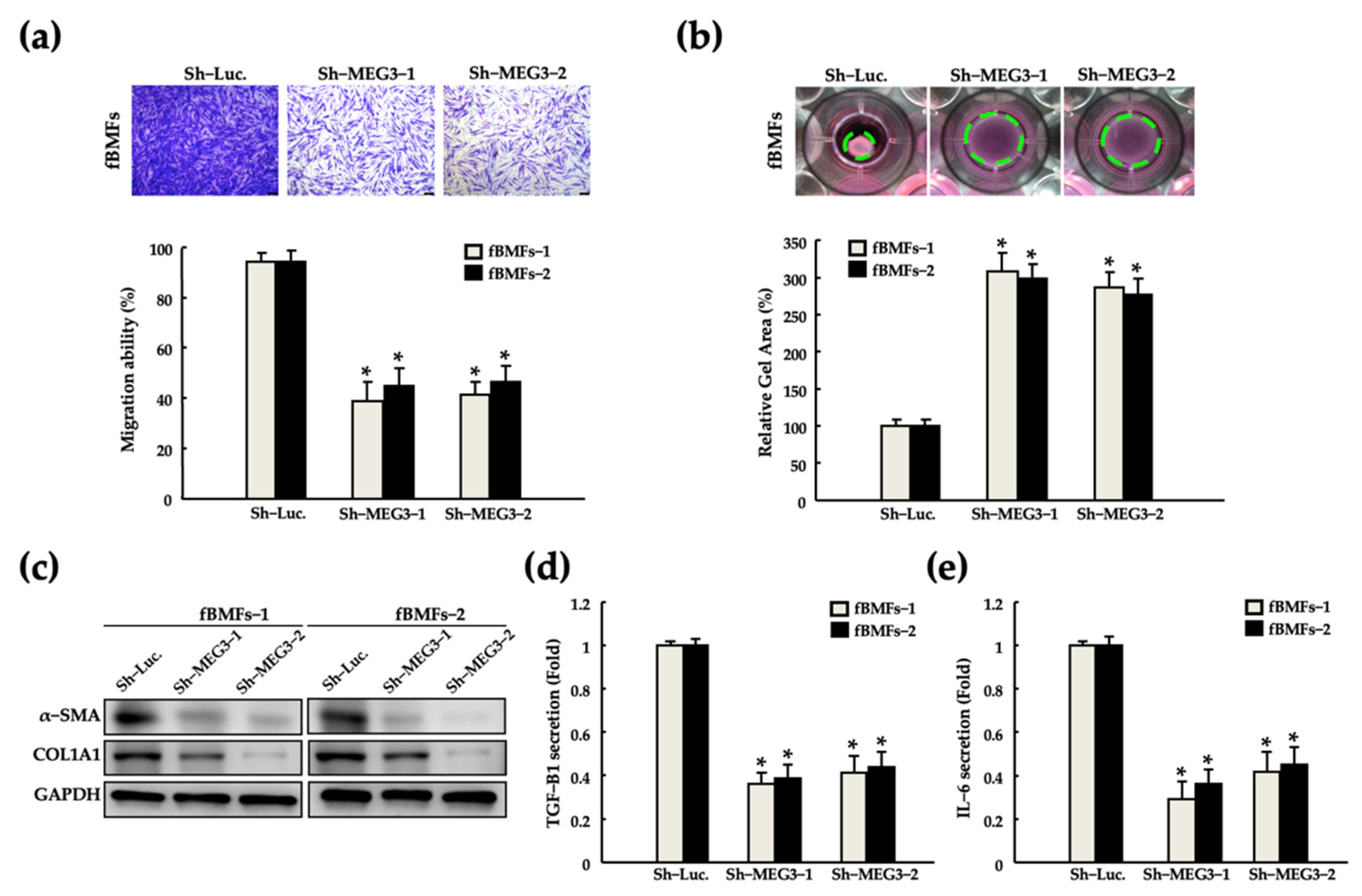 Pharmaceuticals 15 00833 g003 Pharmaceuticals 15 00833 g003