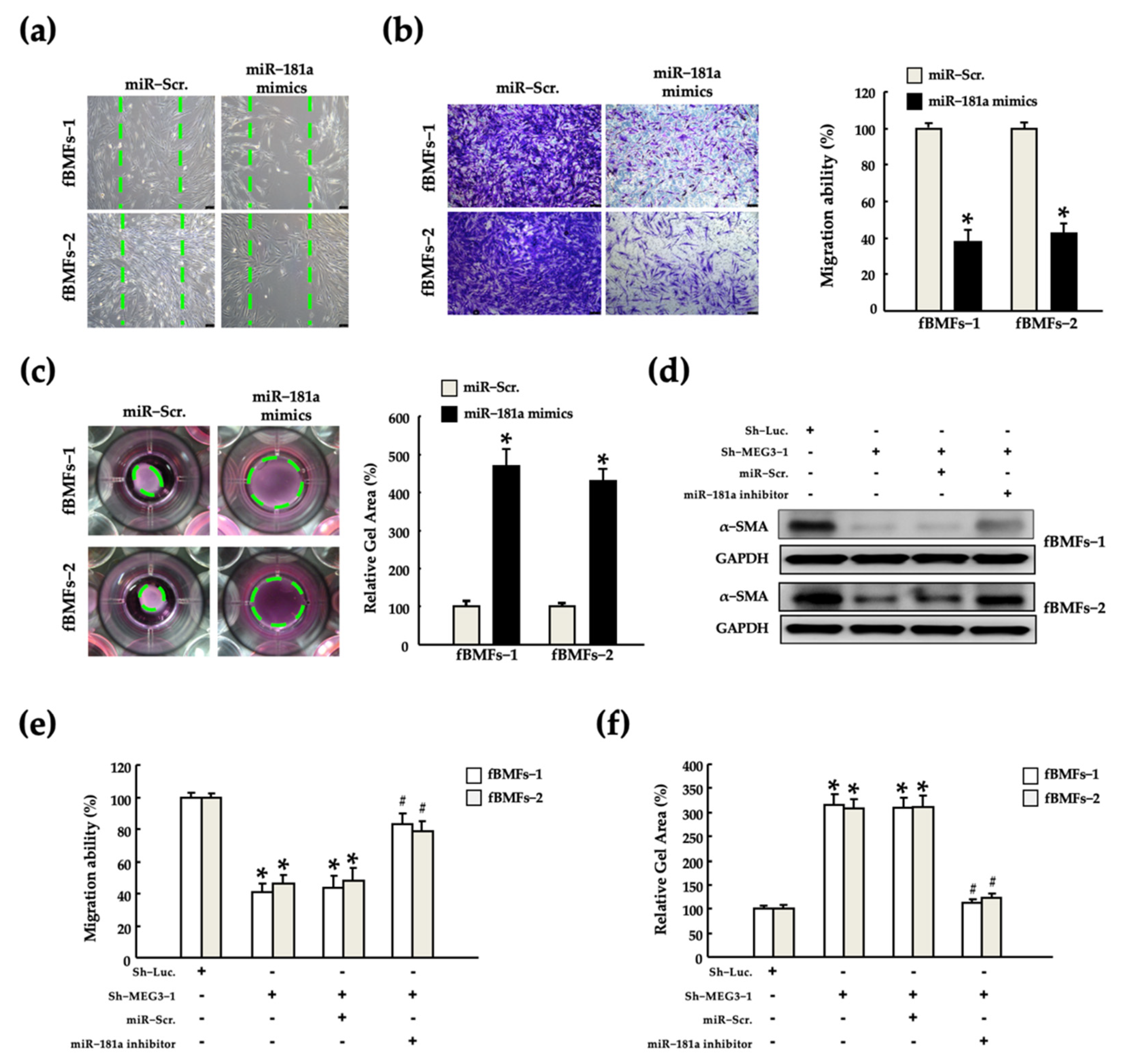 Pharmaceuticals 15 00833 g005 Pharmaceuticals 15 00833 g005