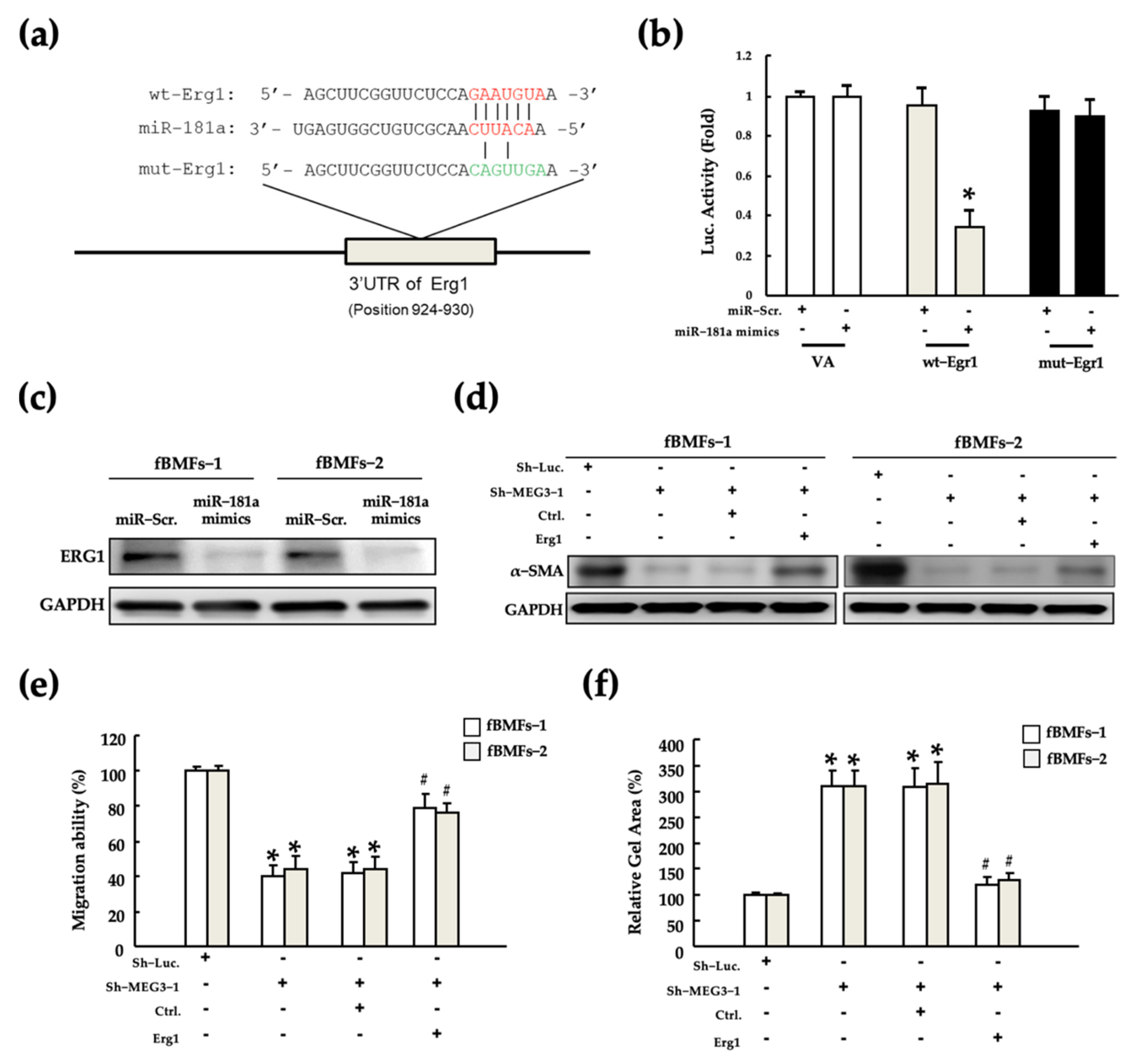 Pharmaceuticals 15 00833 g006 Pharmaceuticals 15 00833 g006