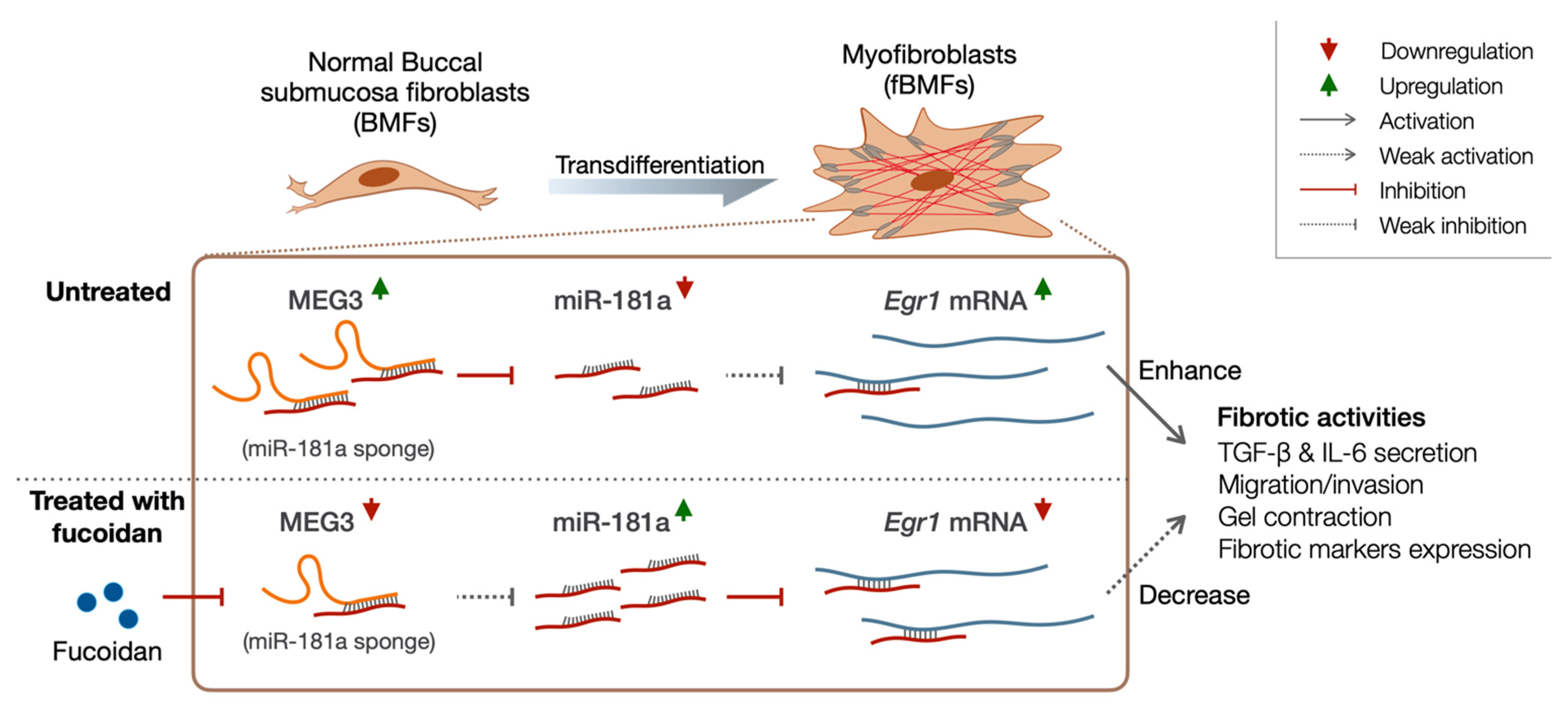 Pharmaceuticals 15 00833 g007 Pharmaceuticals 15 00833 g007