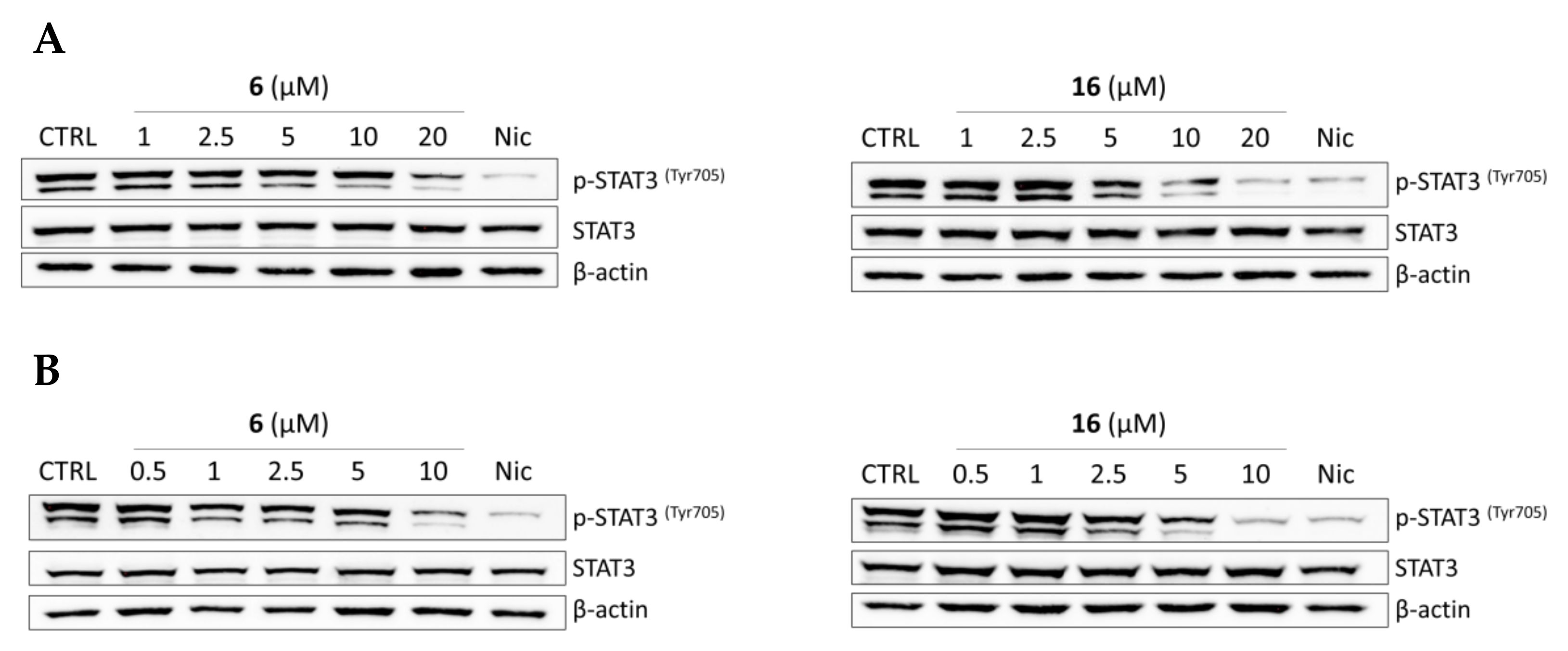 Pharmaceuticals 15 00835 g004