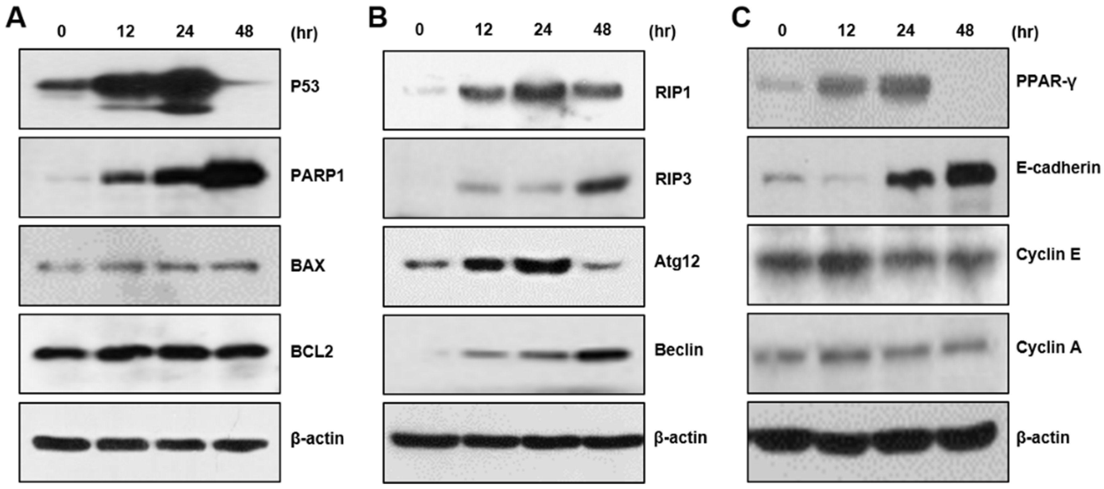 Pharmaceuticals 15 00836 g002 Pharmaceuticals 15 00836 g002