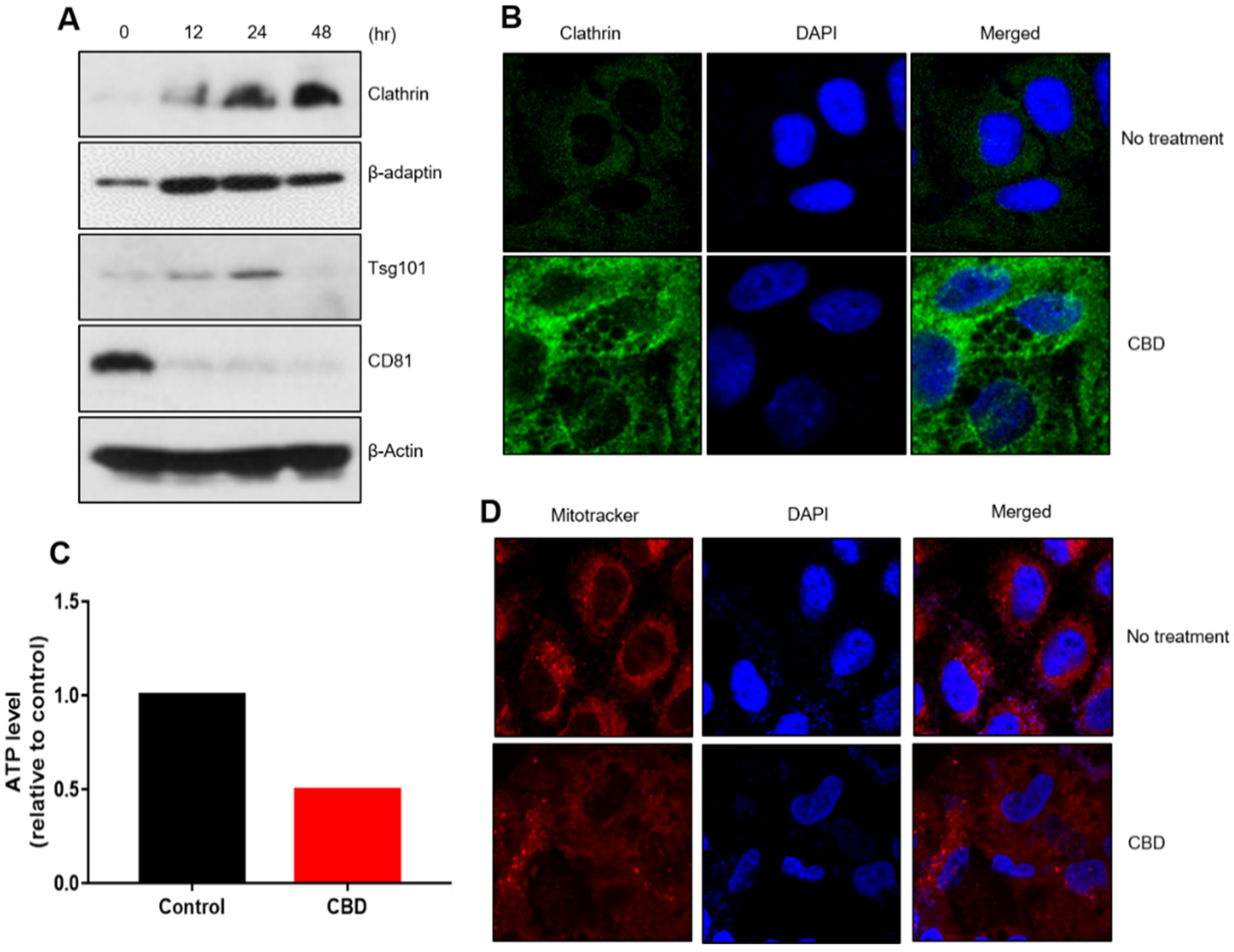 Pharmaceuticals 15 00836 g003 Pharmaceuticals 15 00836 g003