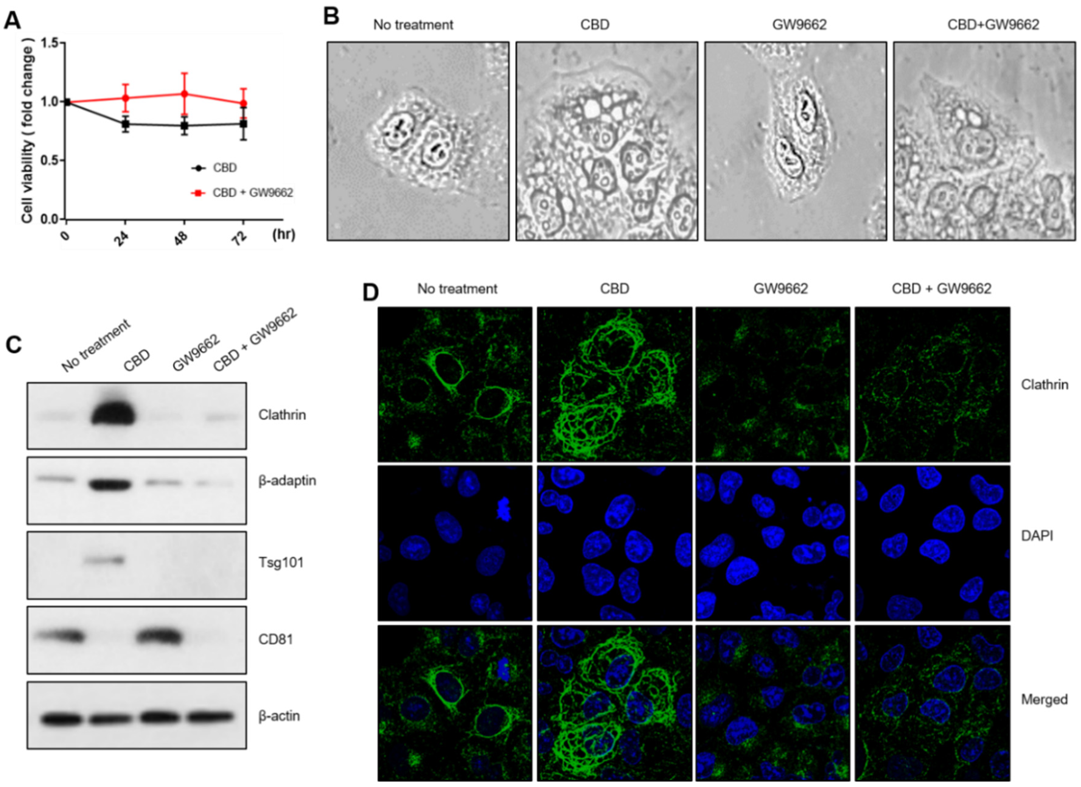 Pharmaceuticals 15 00836 g004 Pharmaceuticals 15 00836 g004