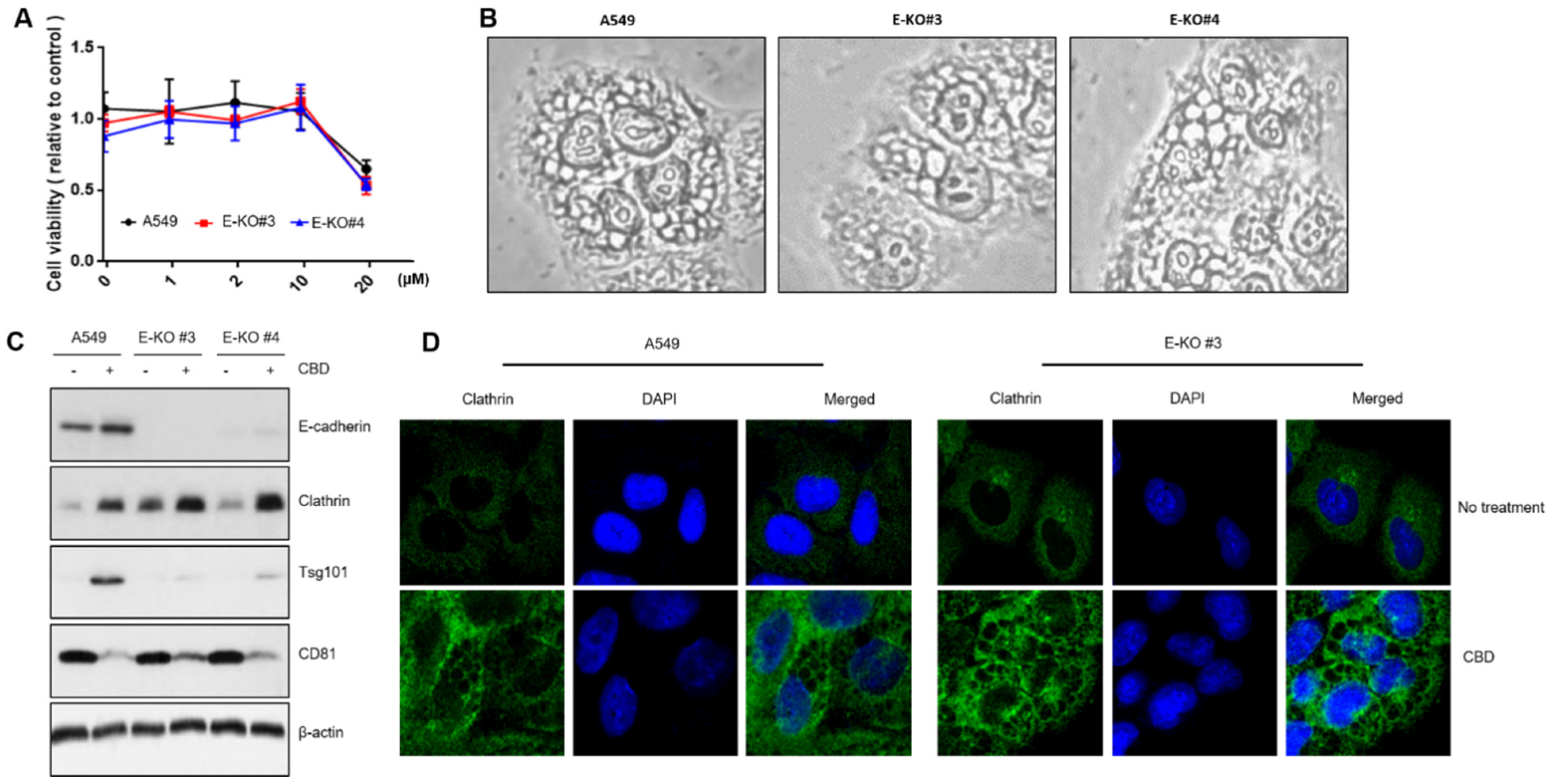 Pharmaceuticals 15 00836 g005 Pharmaceuticals 15 00836 g005