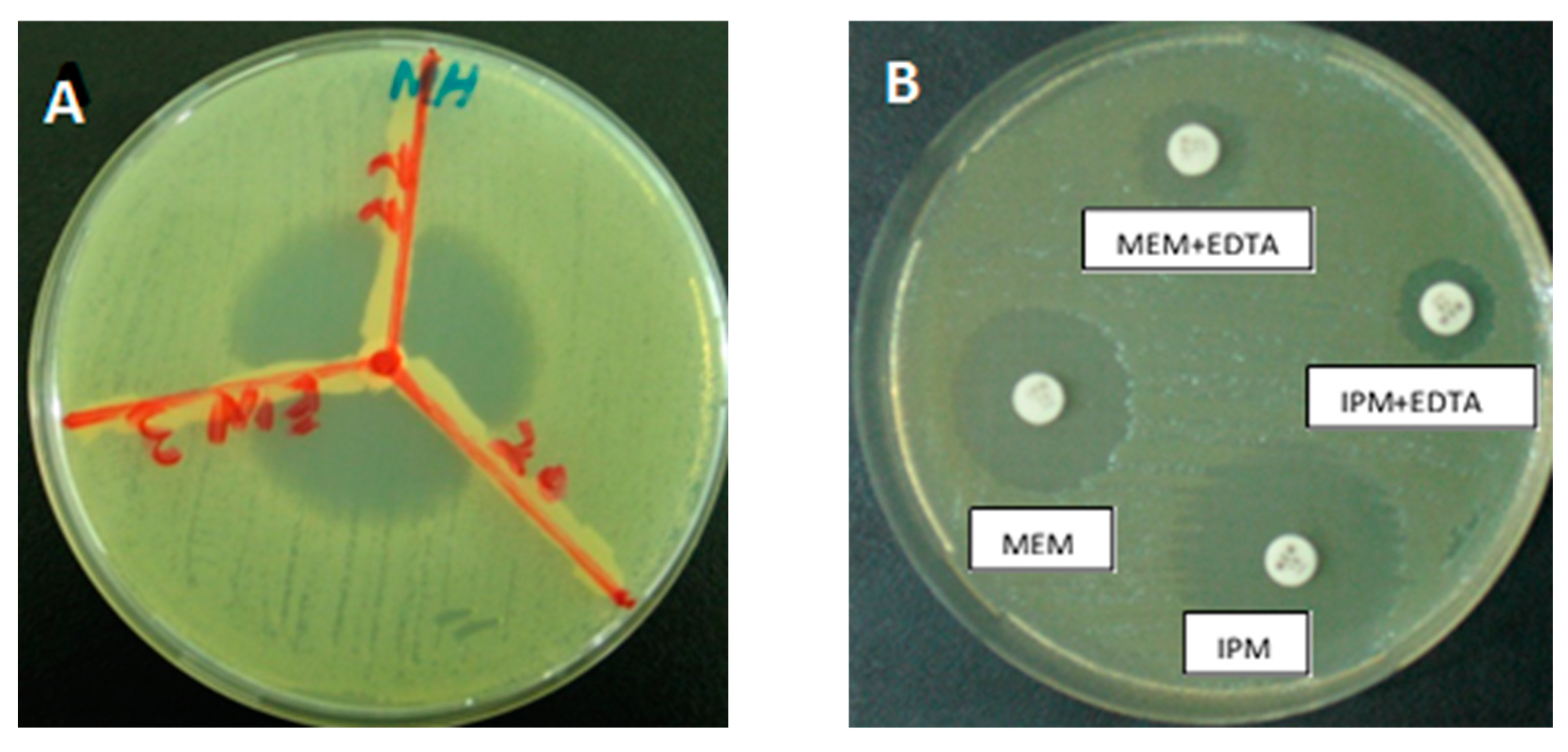 Pharmaceuticals 15 00841 g005 550