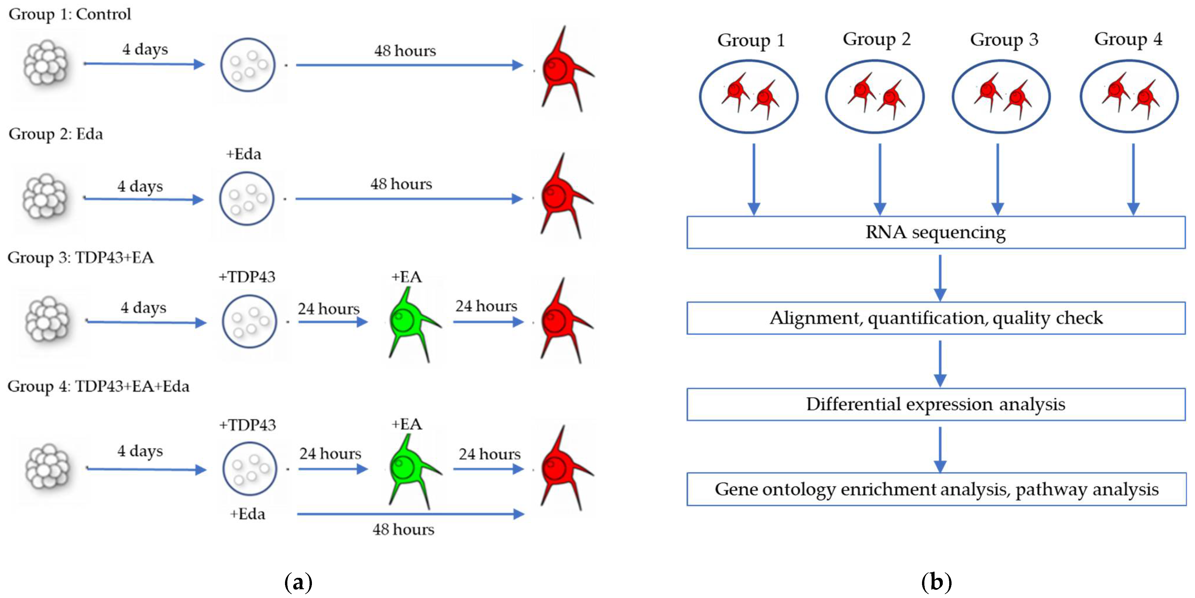 Pharmaceuticals 15 00842 g002