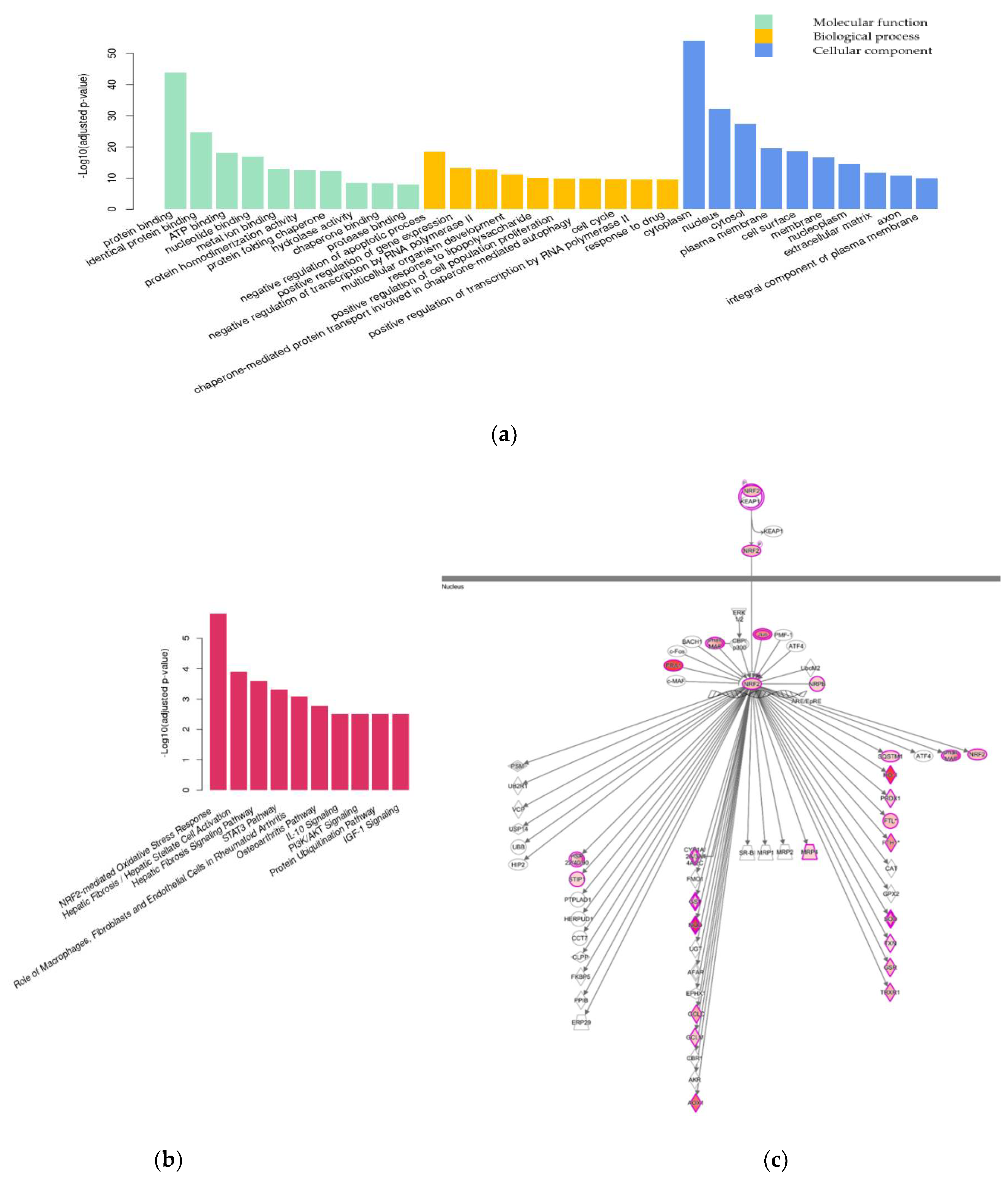Pharmaceuticals 15 00842 g004