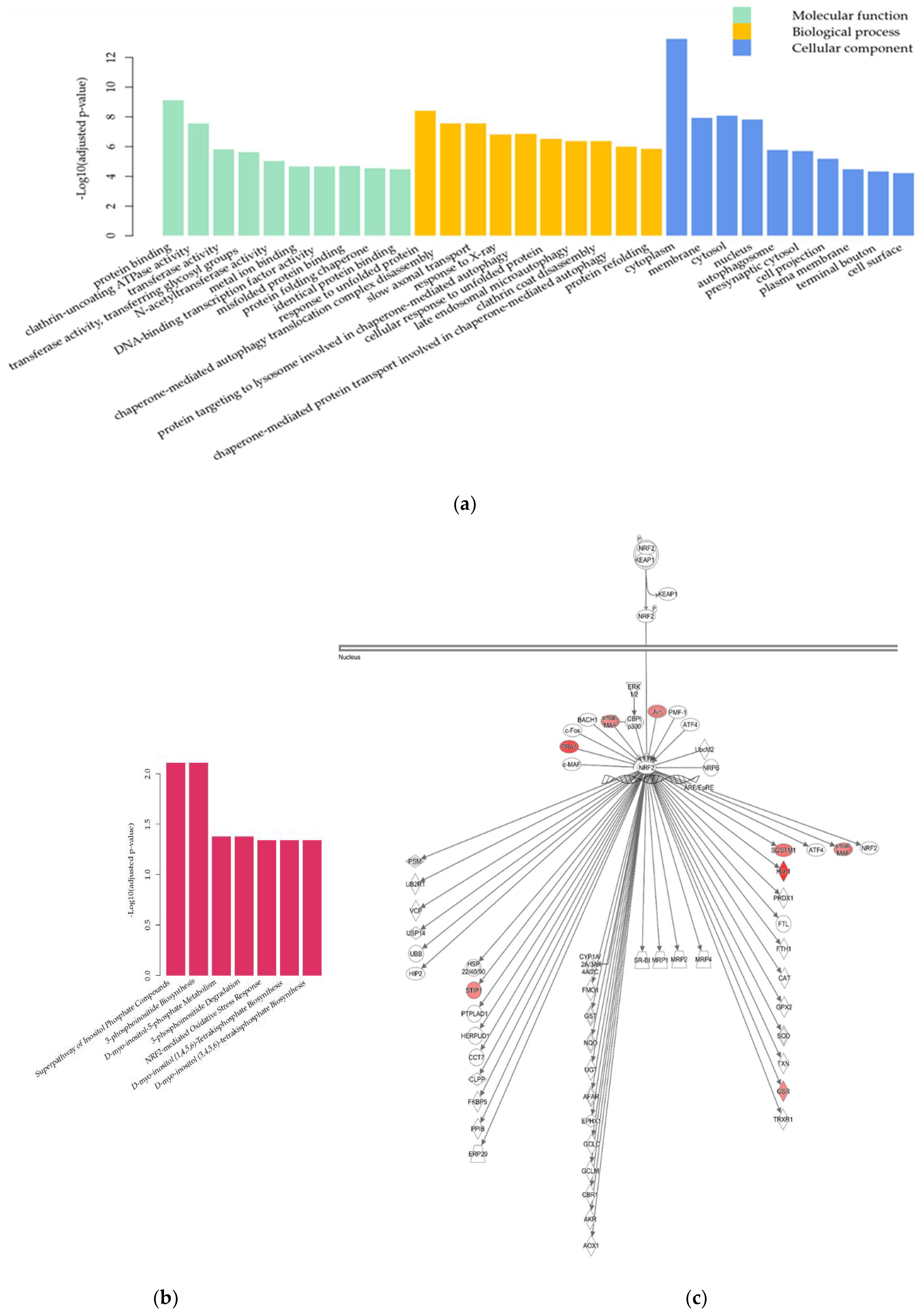Pharmaceuticals 15 00842 g005