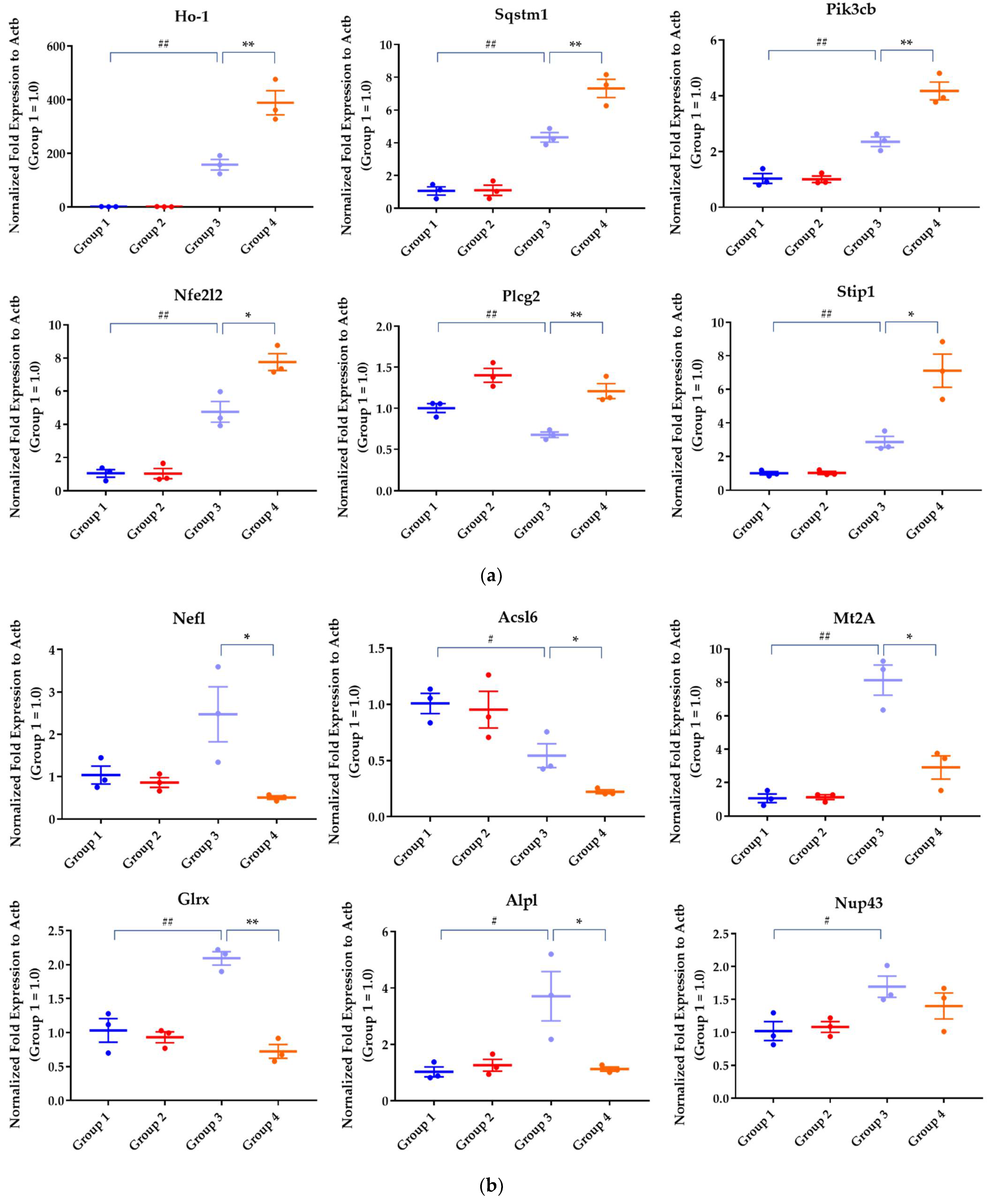 Pharmaceuticals 15 00842 g006