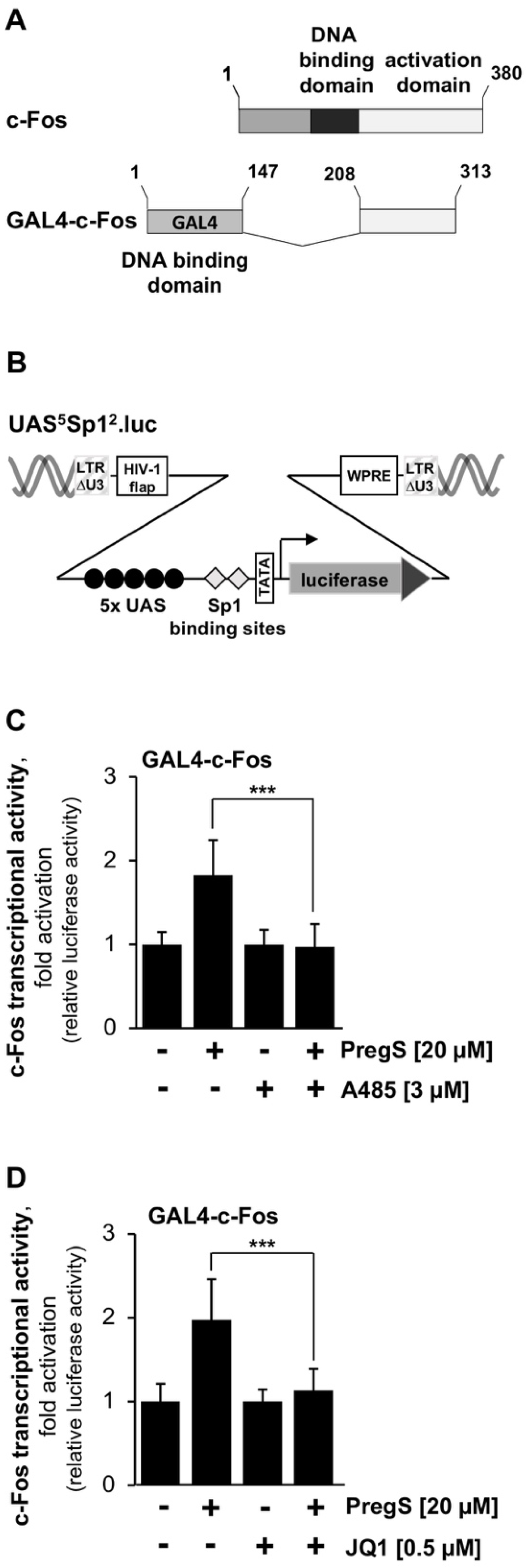 Pharmaceuticals 15 00846 g004 Pharmaceuticals 15 00846 g004