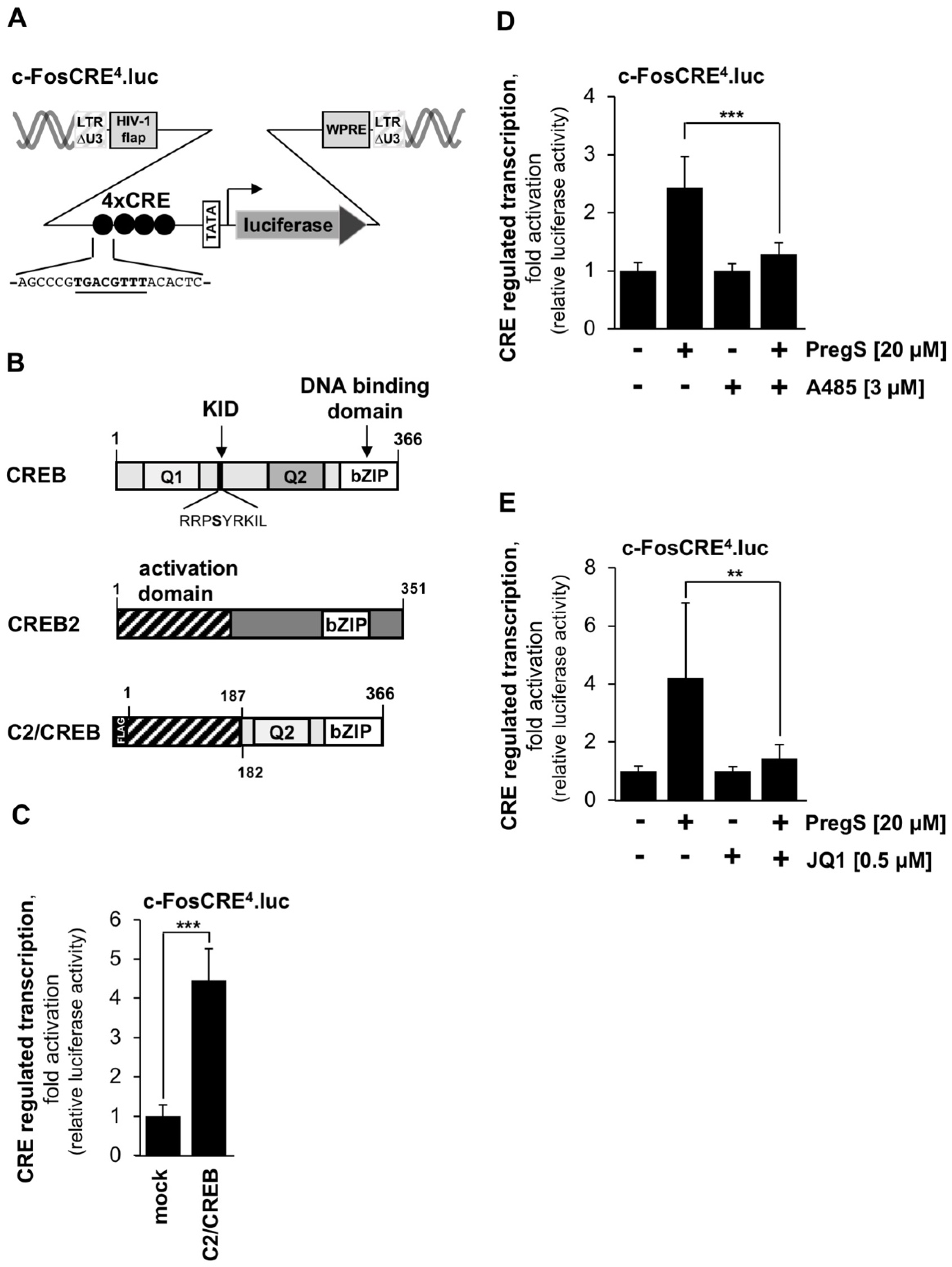 Pharmaceuticals 15 00846 g006 Pharmaceuticals 15 00846 g006