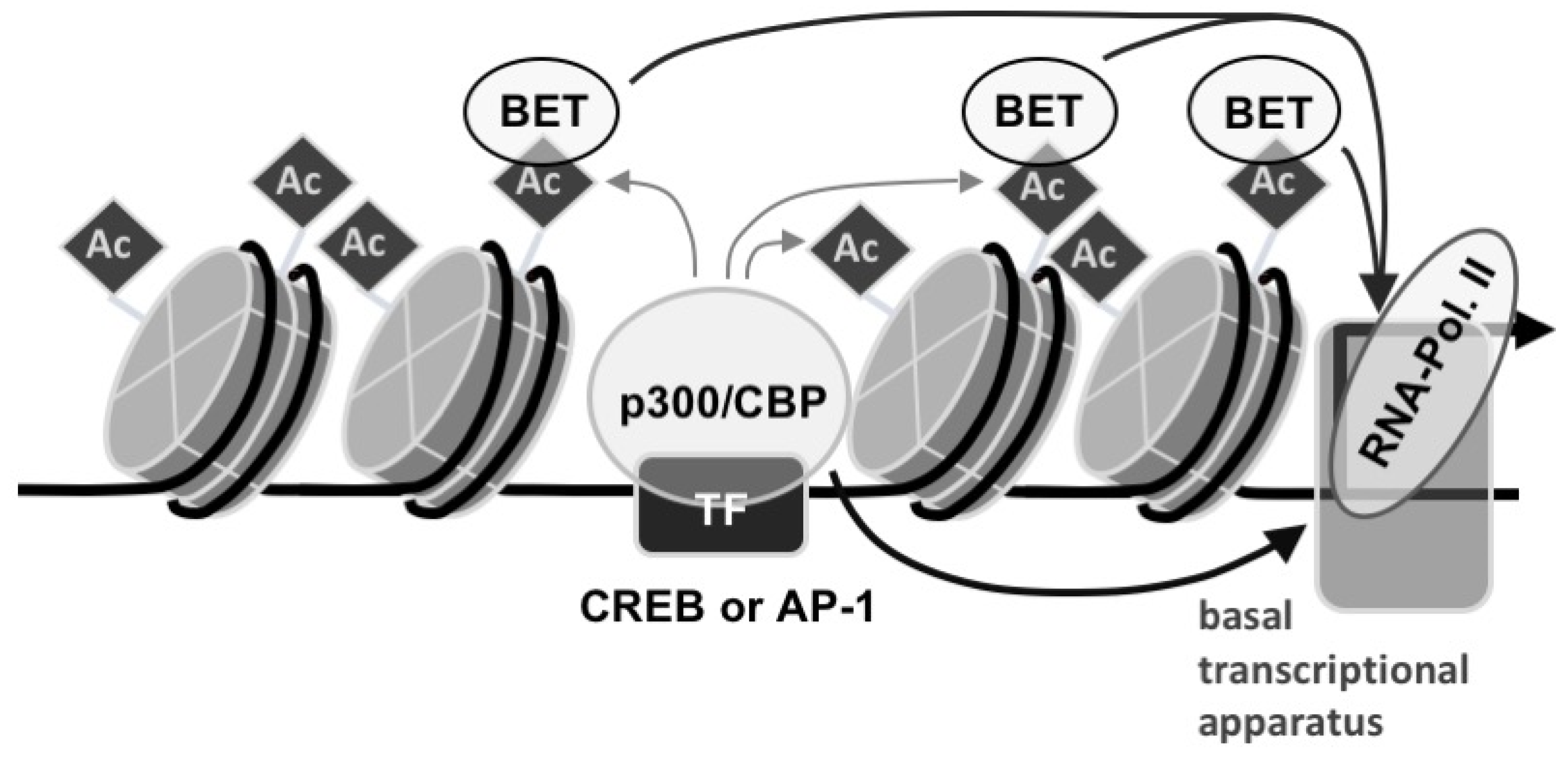 Pharmaceuticals 15 00846 g007 Pharmaceuticals 15 00846 g007
