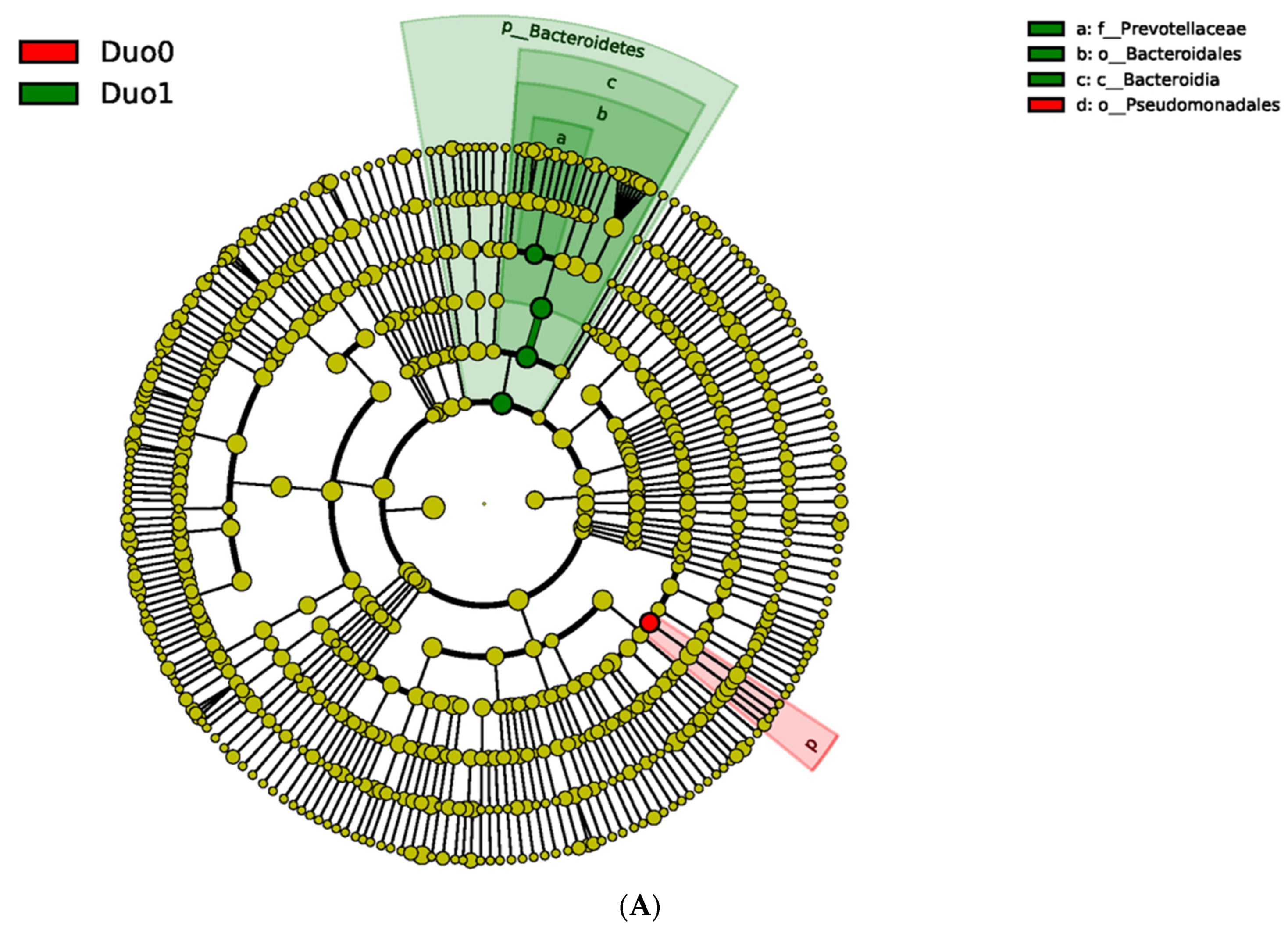 Pharmaceuticals 15 00850 g001a