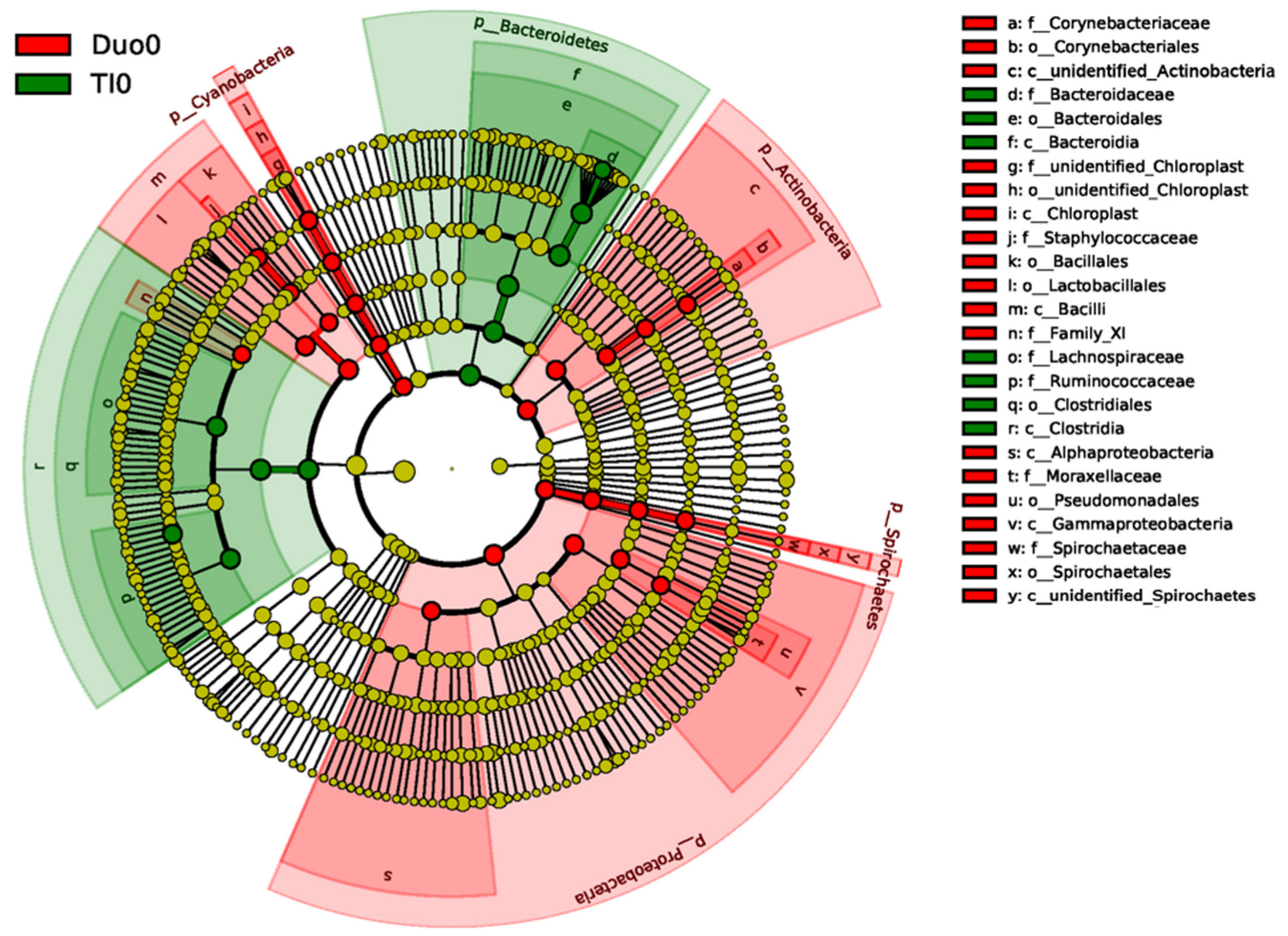 Pharmaceuticals 15 00850 g004