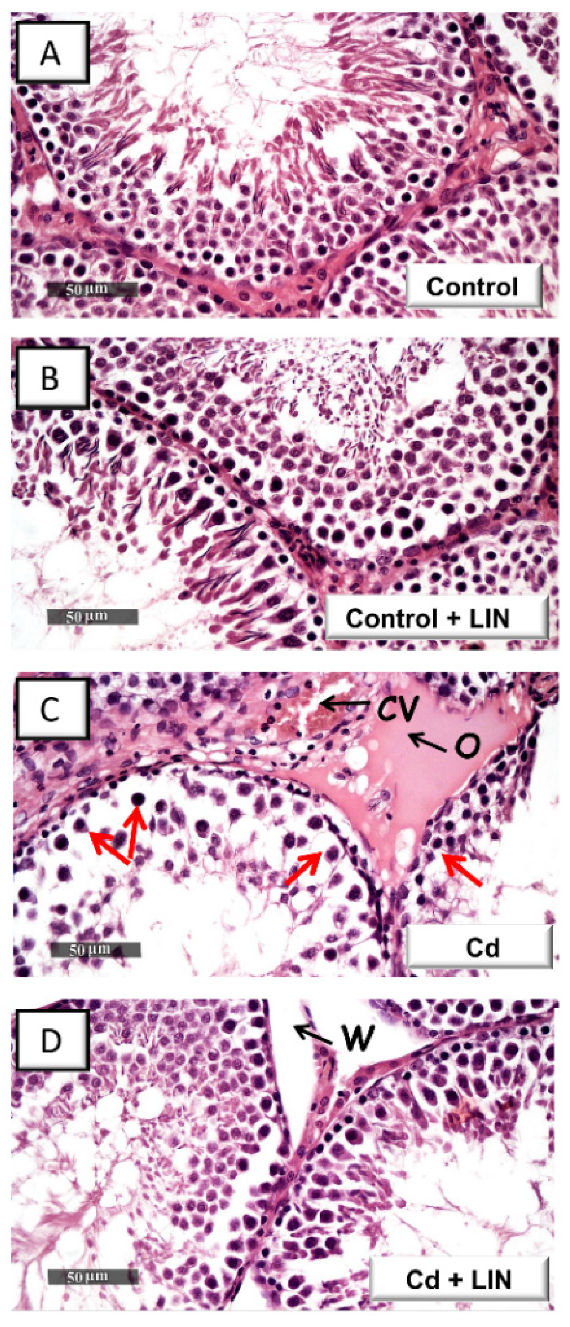 Pharmaceuticals 15 00852 g002