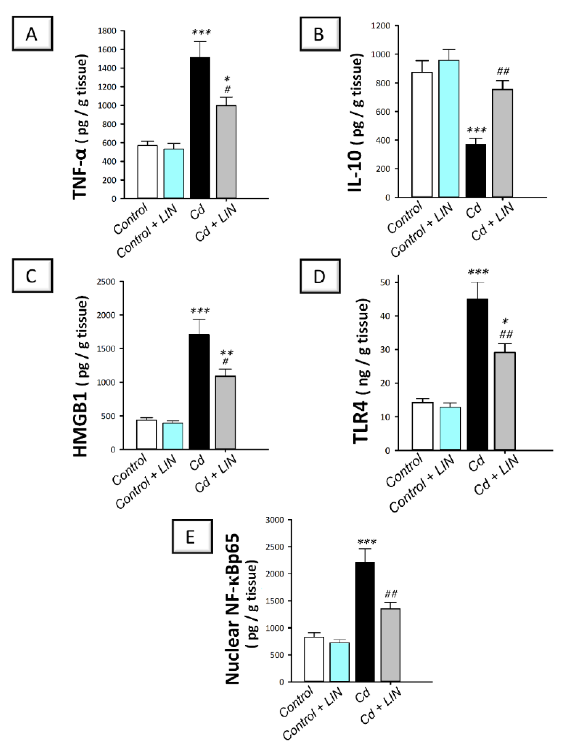 Pharmaceuticals 15 00852 g004