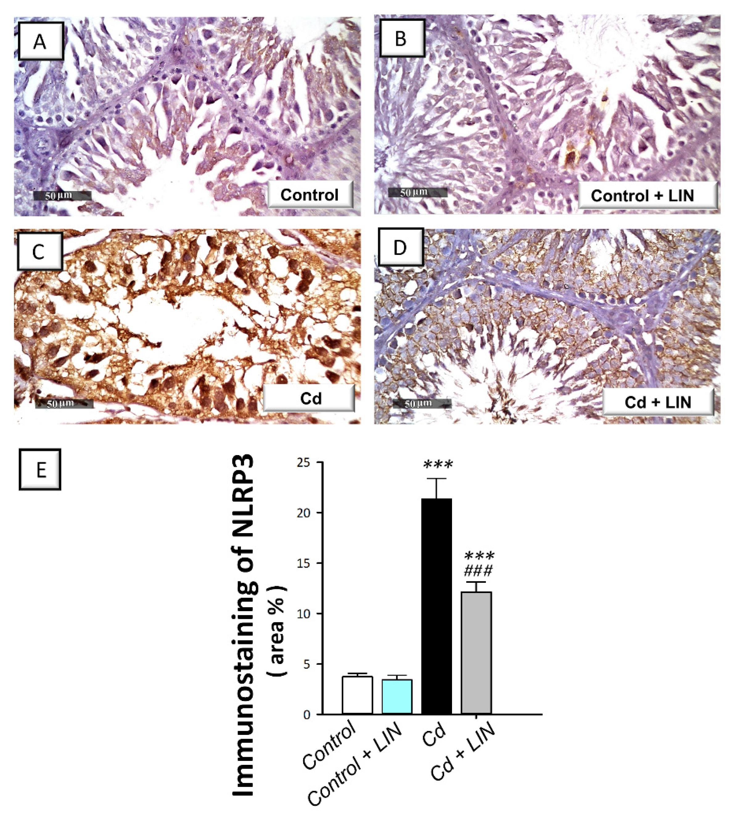 Pharmaceuticals 15 00852 g005