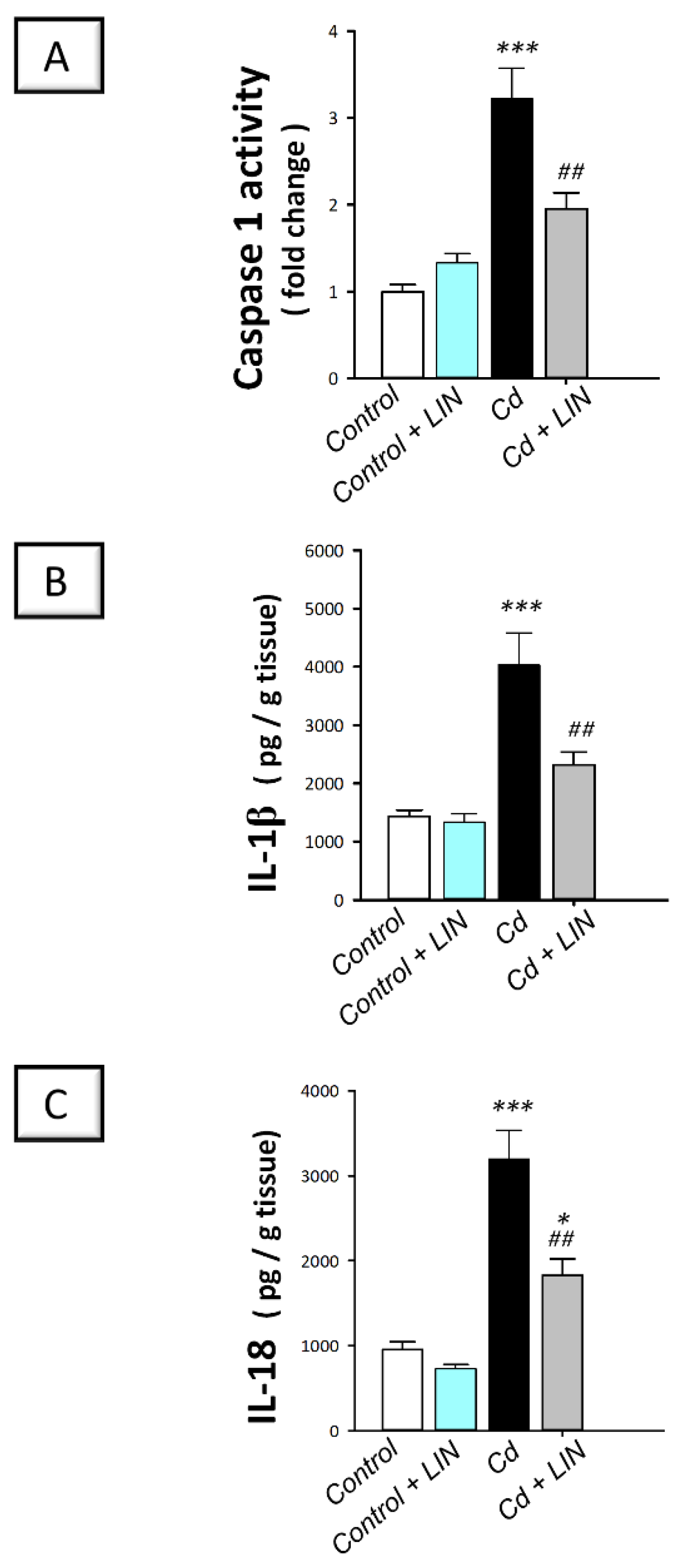 Pharmaceuticals 15 00852 g006