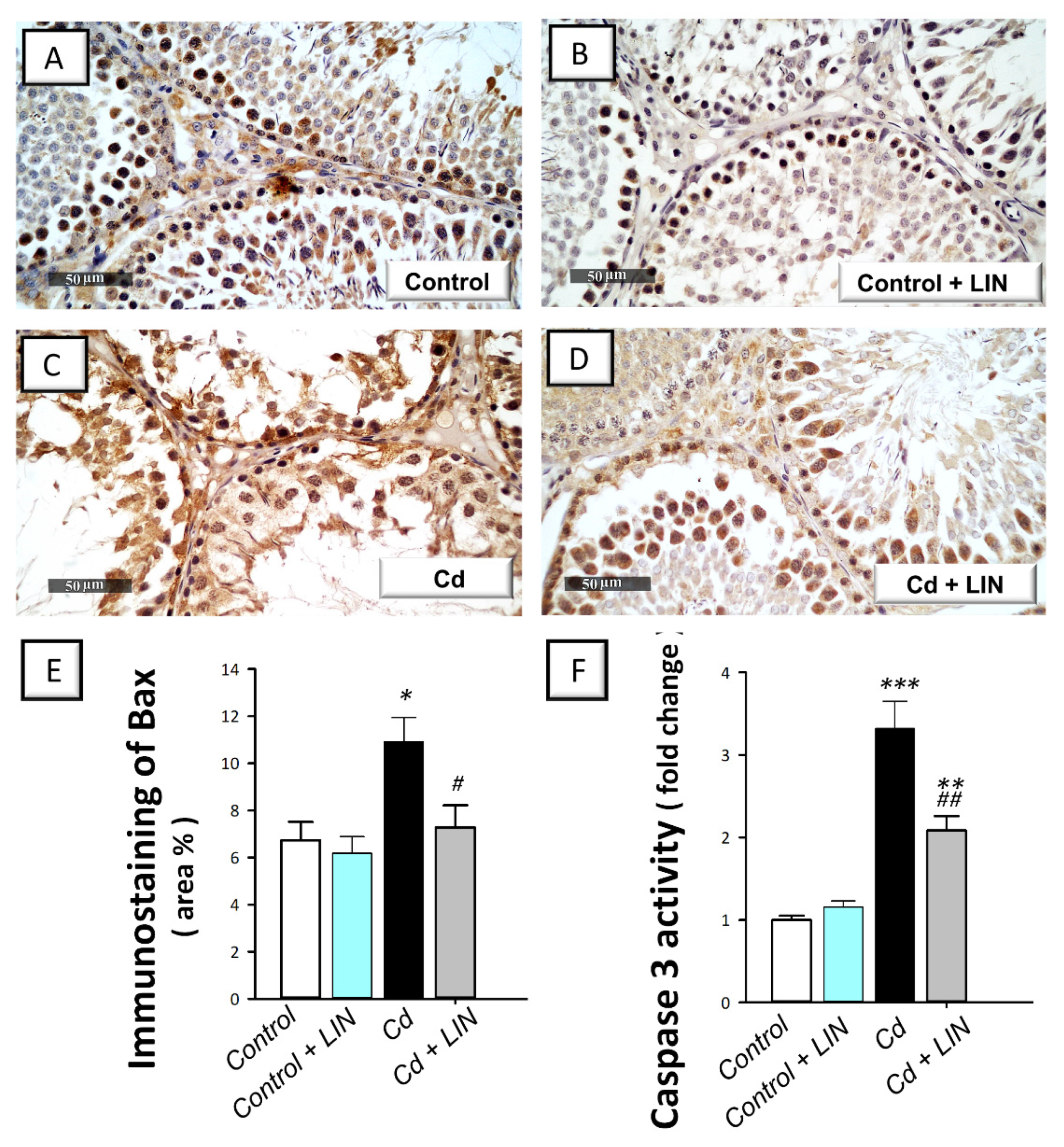 Pharmaceuticals 15 00852 g007