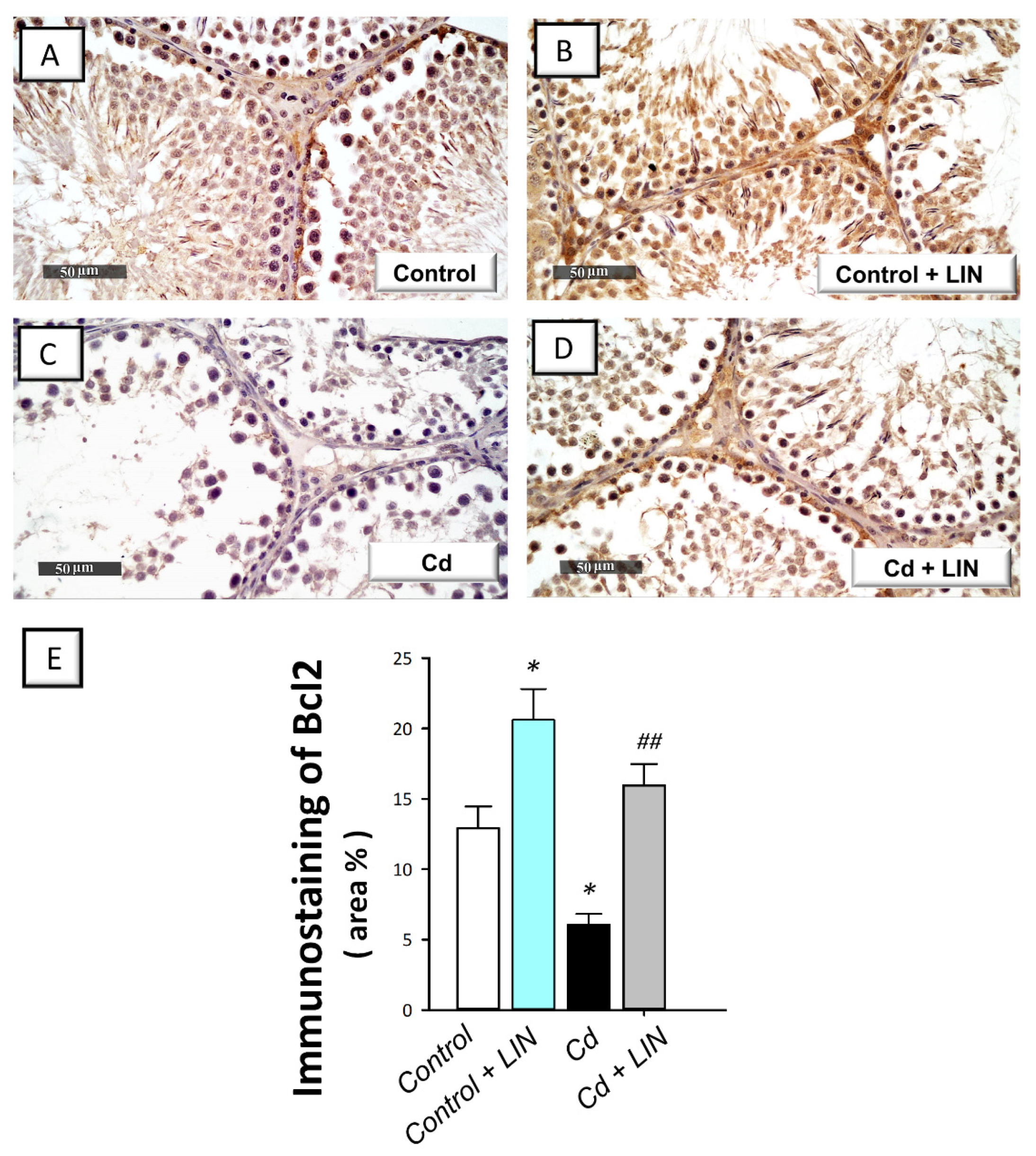 Pharmaceuticals 15 00852 g008