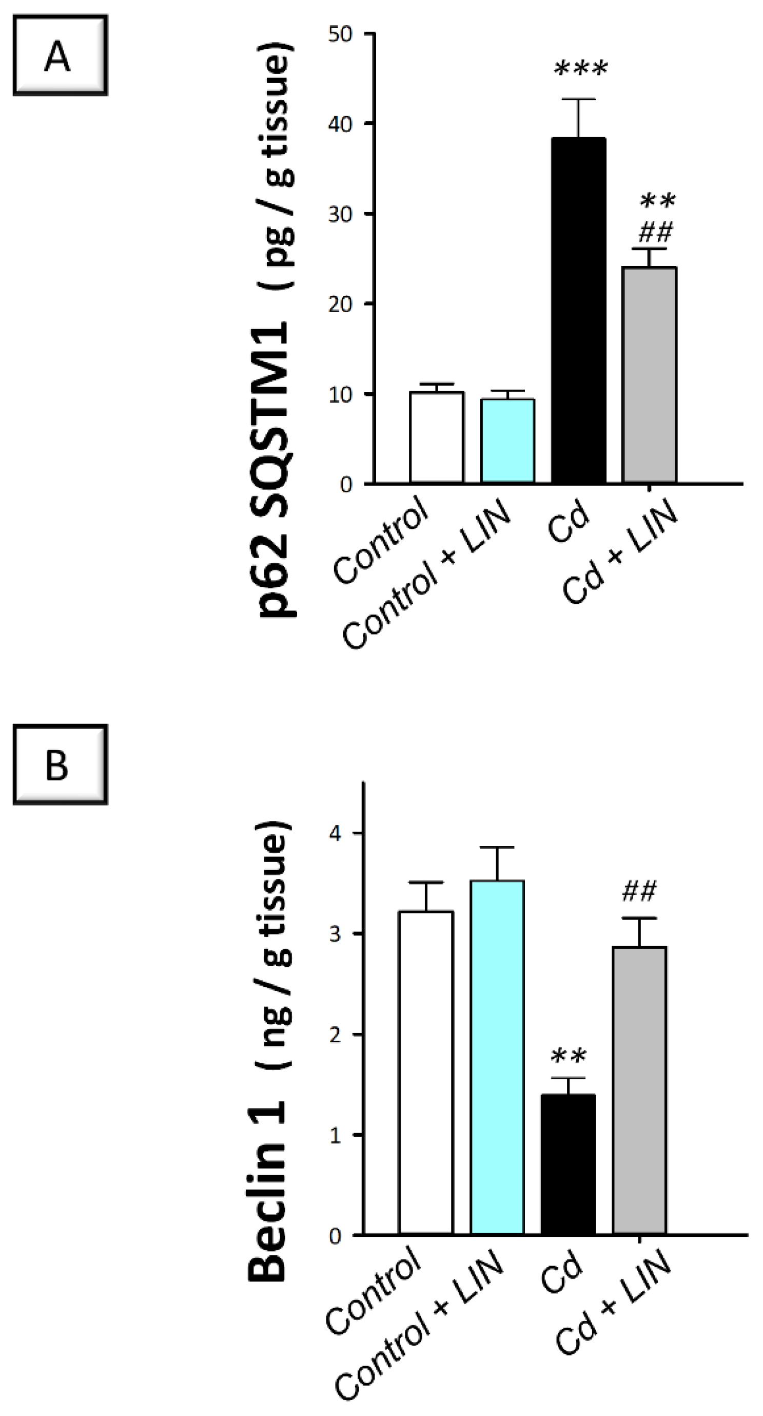 Pharmaceuticals 15 00852 g009