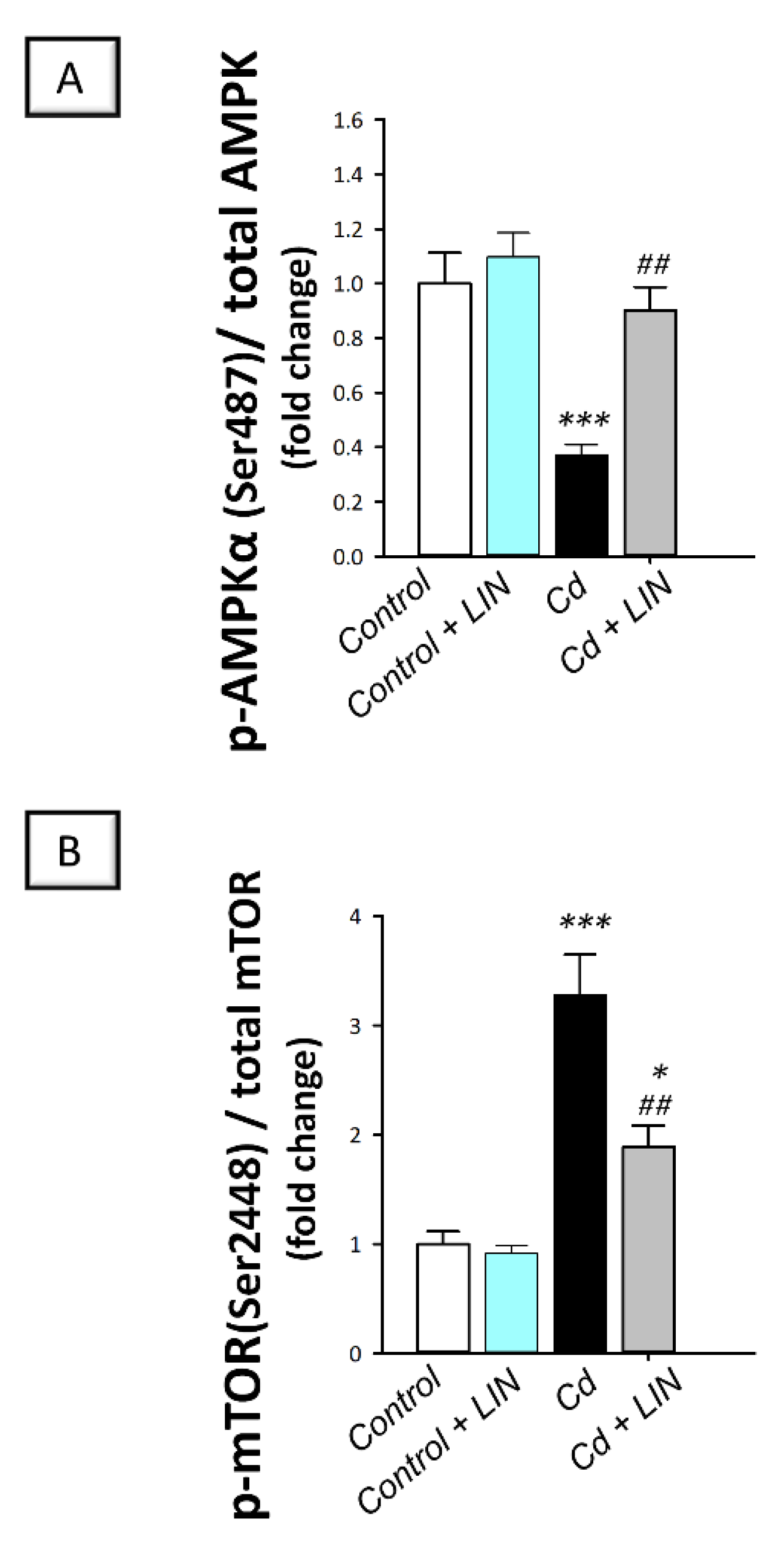 Pharmaceuticals 15 00852 g010