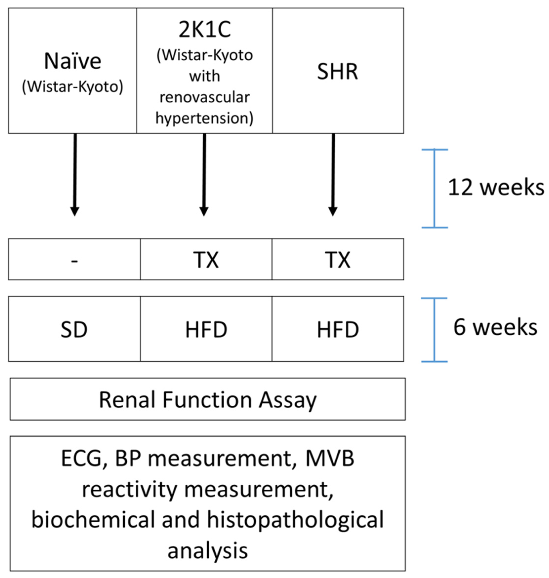 Pharmaceuticals 15 00853 g004 550