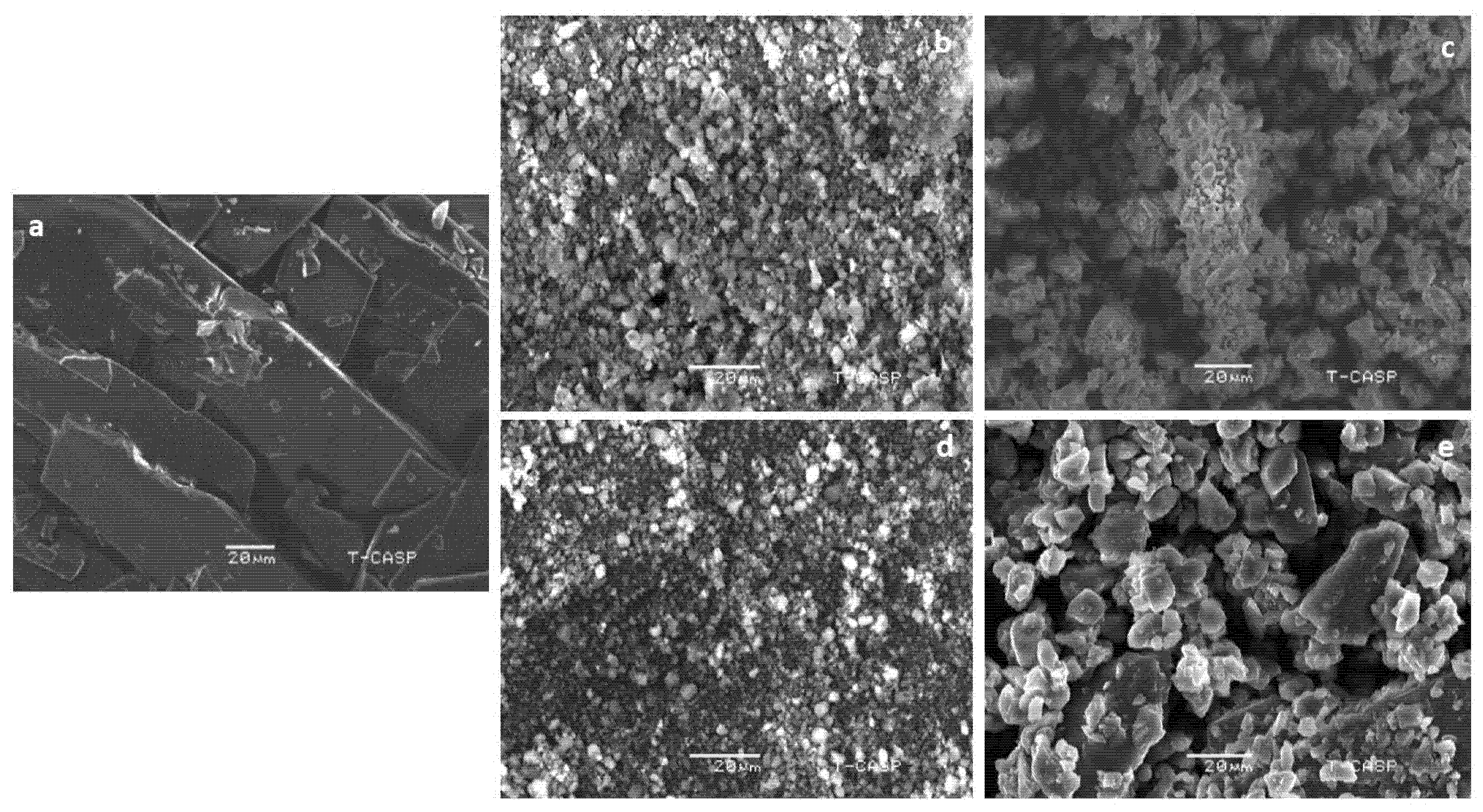 Pharmaceuticals 15 00856 g004 Pharmaceuticals 15 00856 g004